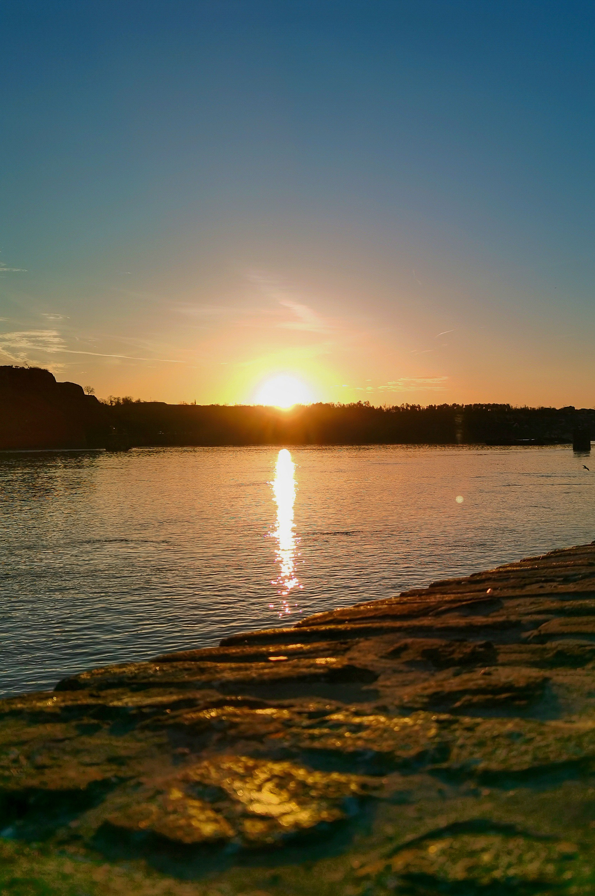 Петроварадин - галерија на продају. Викторија Федосеенко, фотограф у Србији