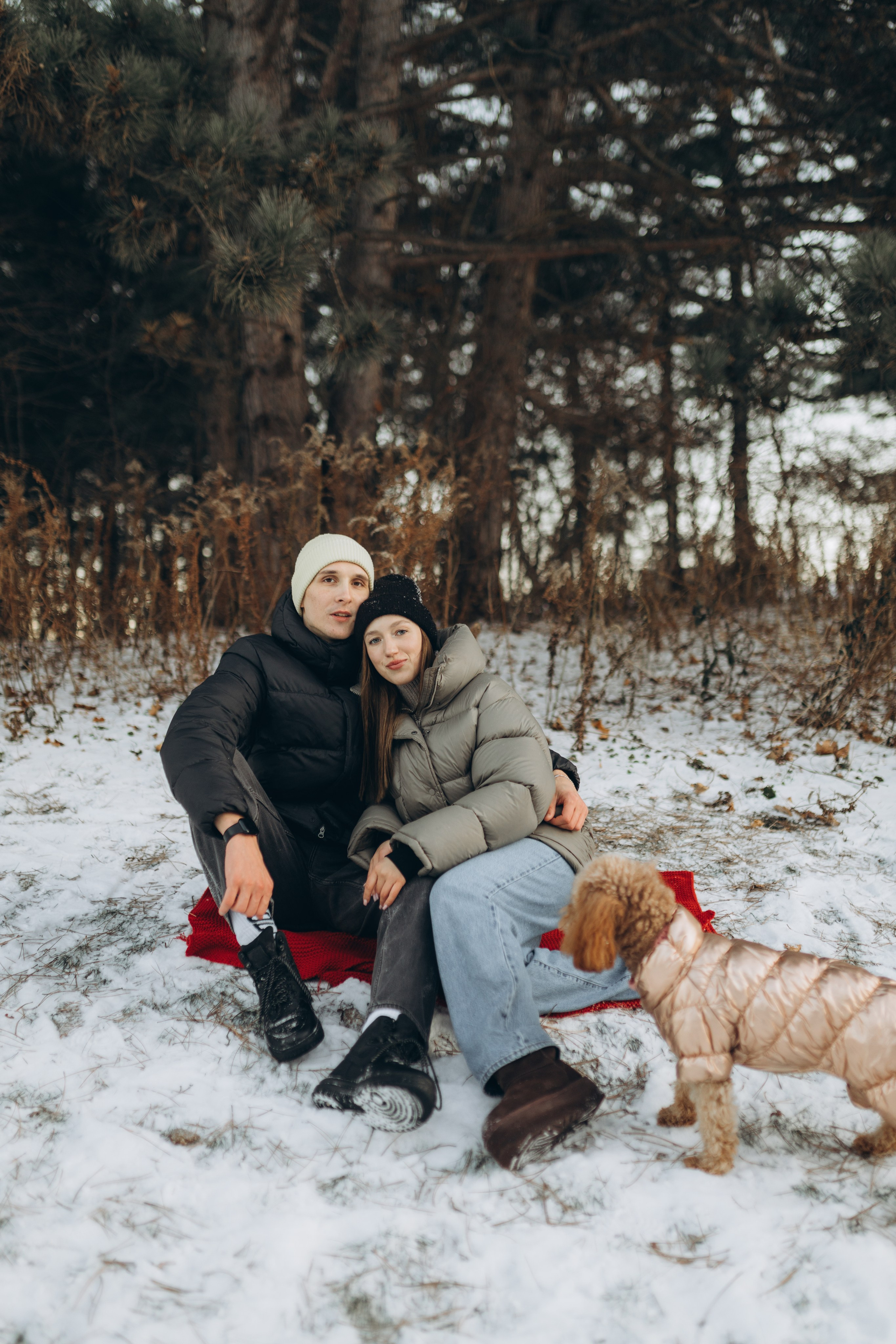 Winter magic. Chernenko.photography