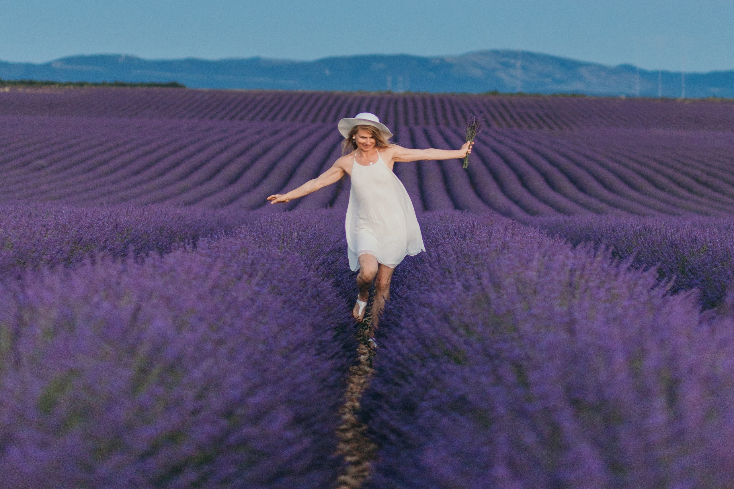 Lavendel. Kristina Podolyakova - Fotografin in Ludwigsburg