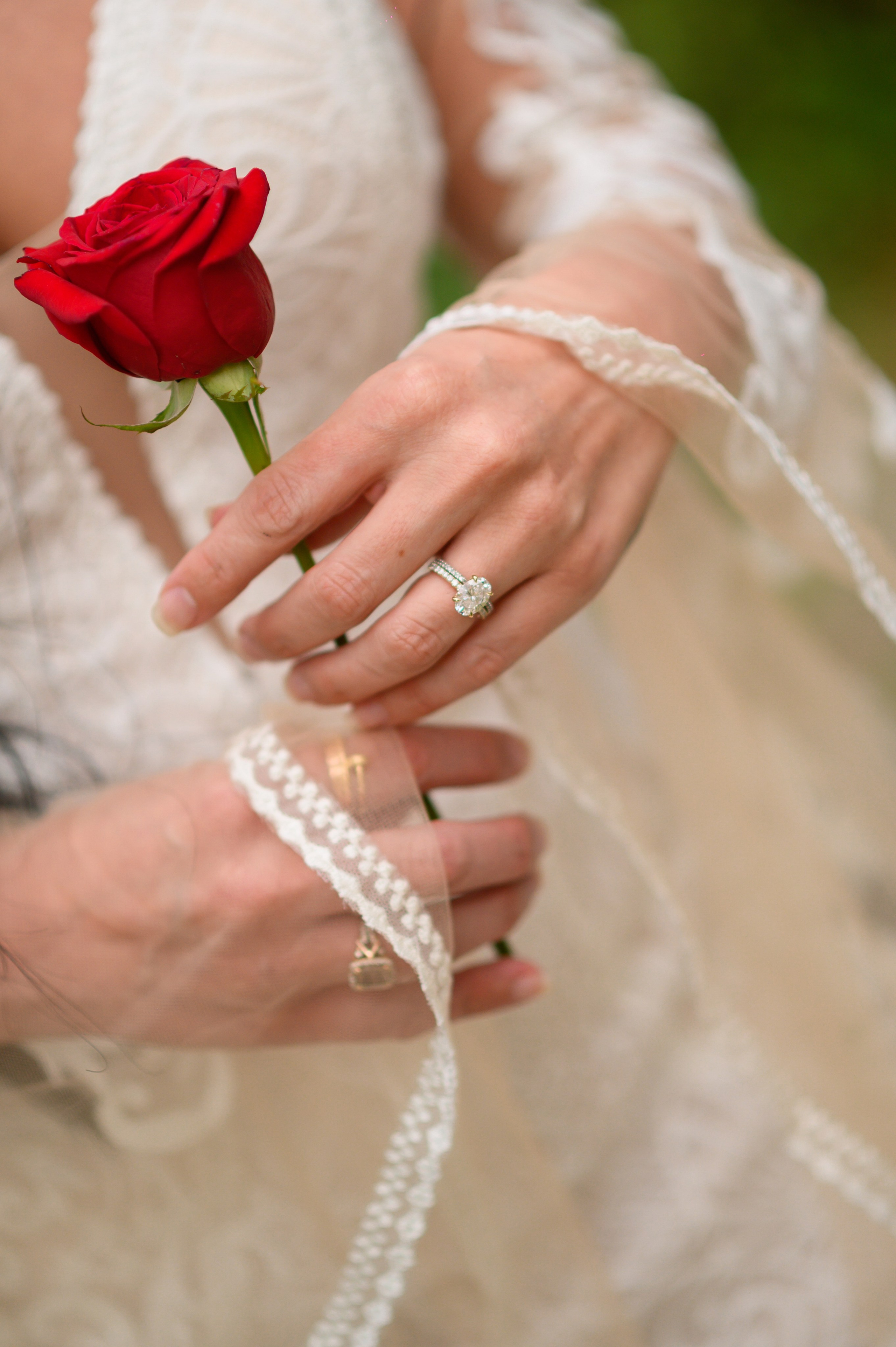 Y + C. Wedding photographer in Orlando, Boston & New York Anderson Marques