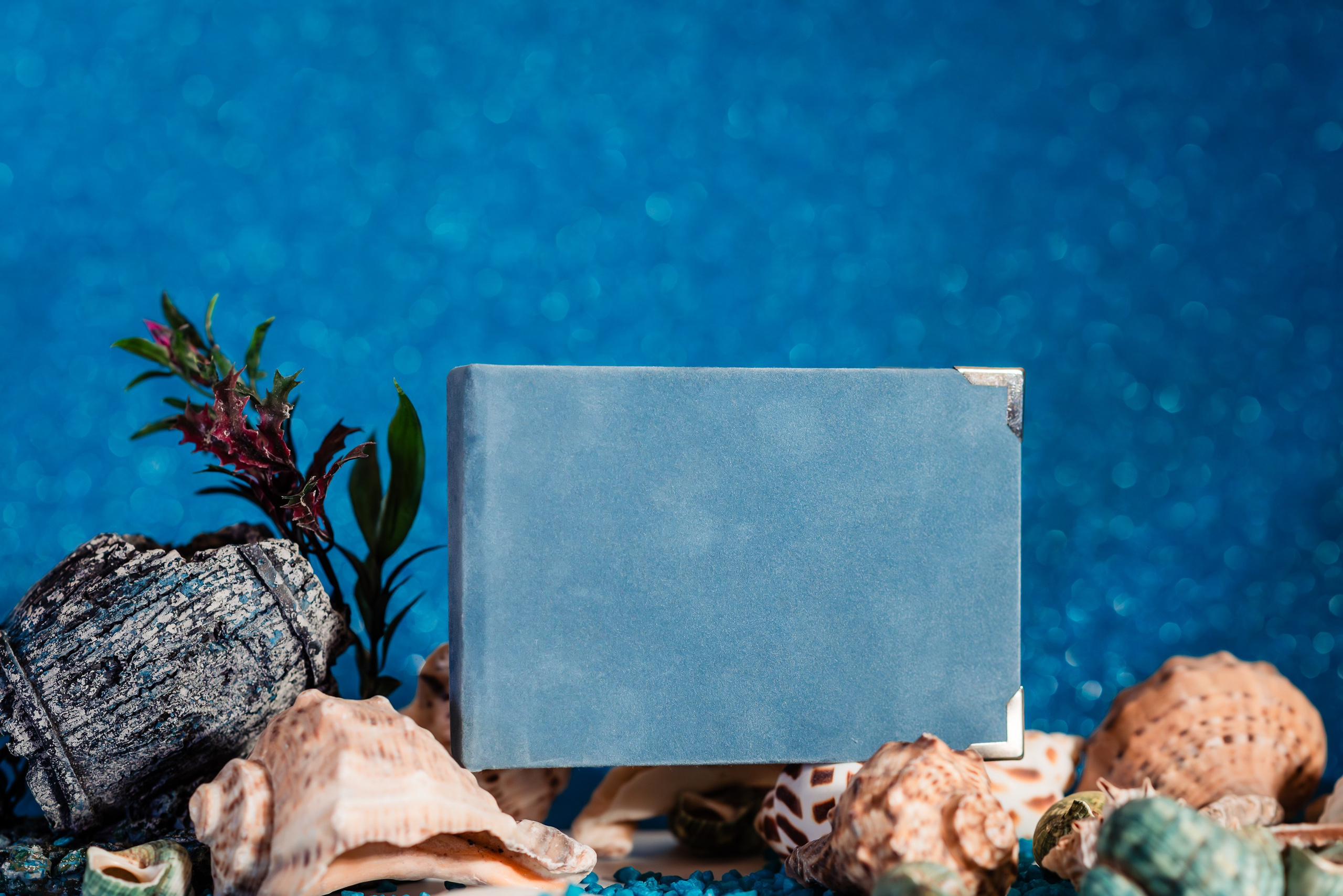 Cutii de stik- Ariana Events. Giani Maftei