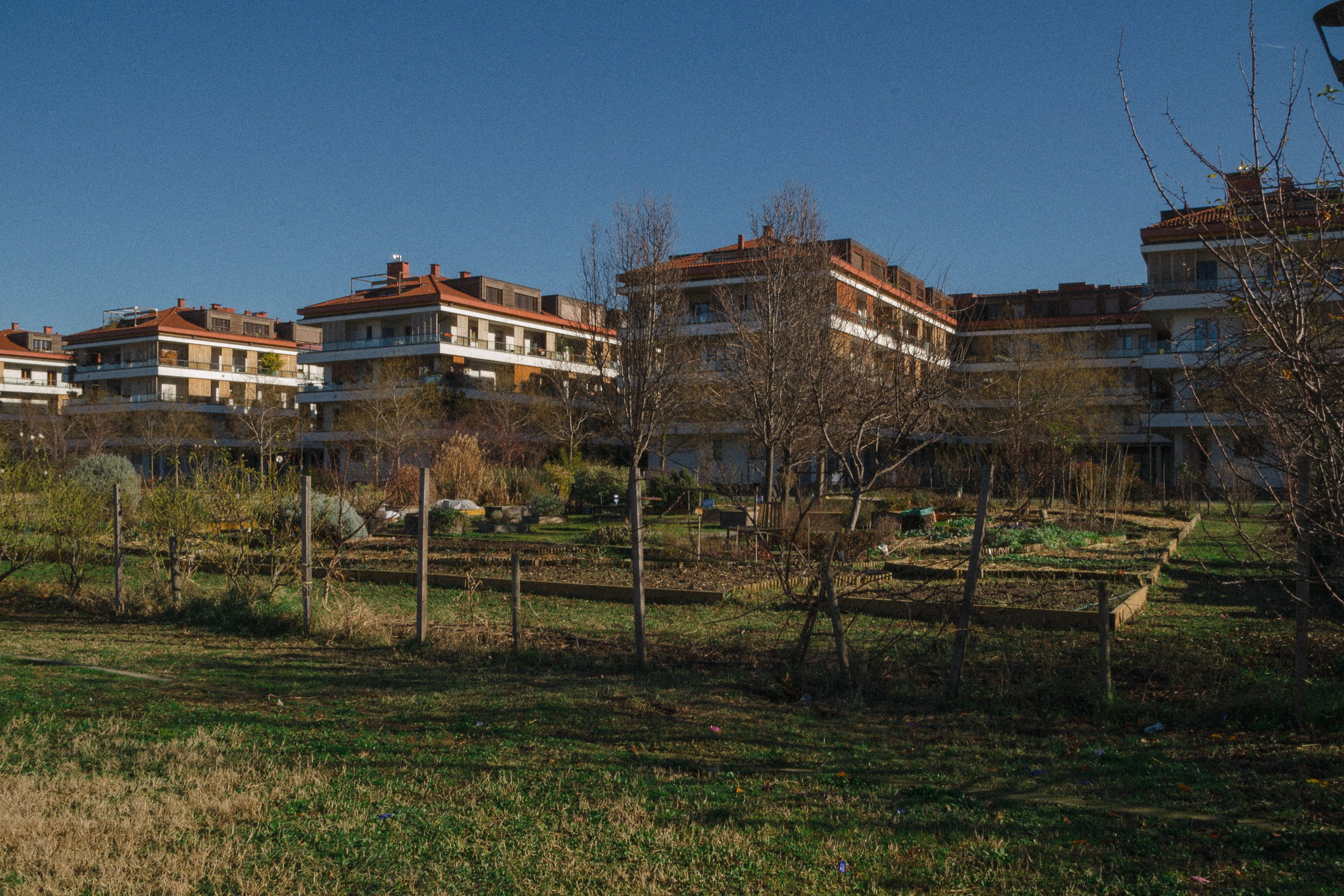 January in park. Анастасия Бучинская фотограф в Милане