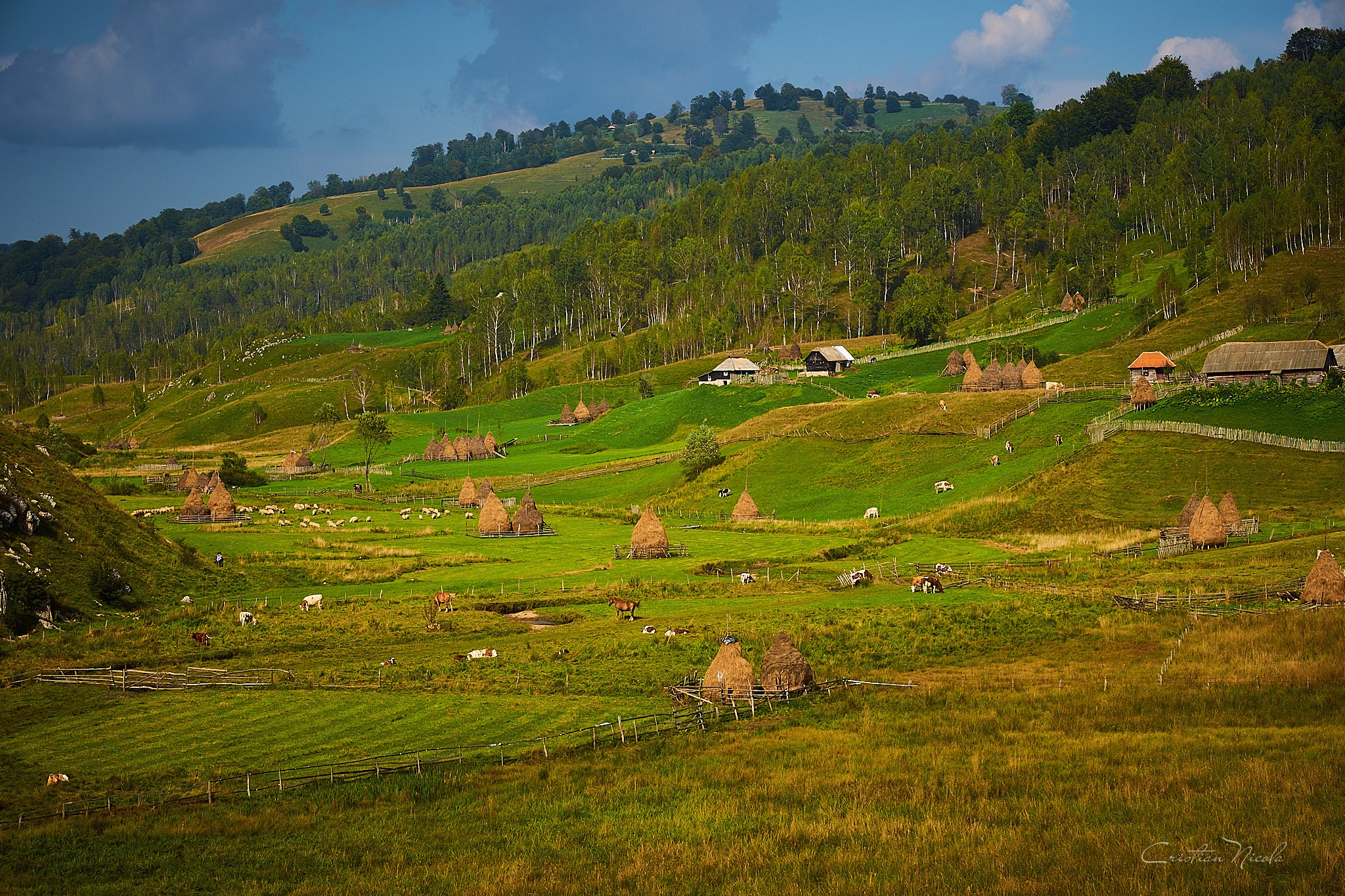 Fundătura Ponorului, jud. Humedoara. Pagina principală