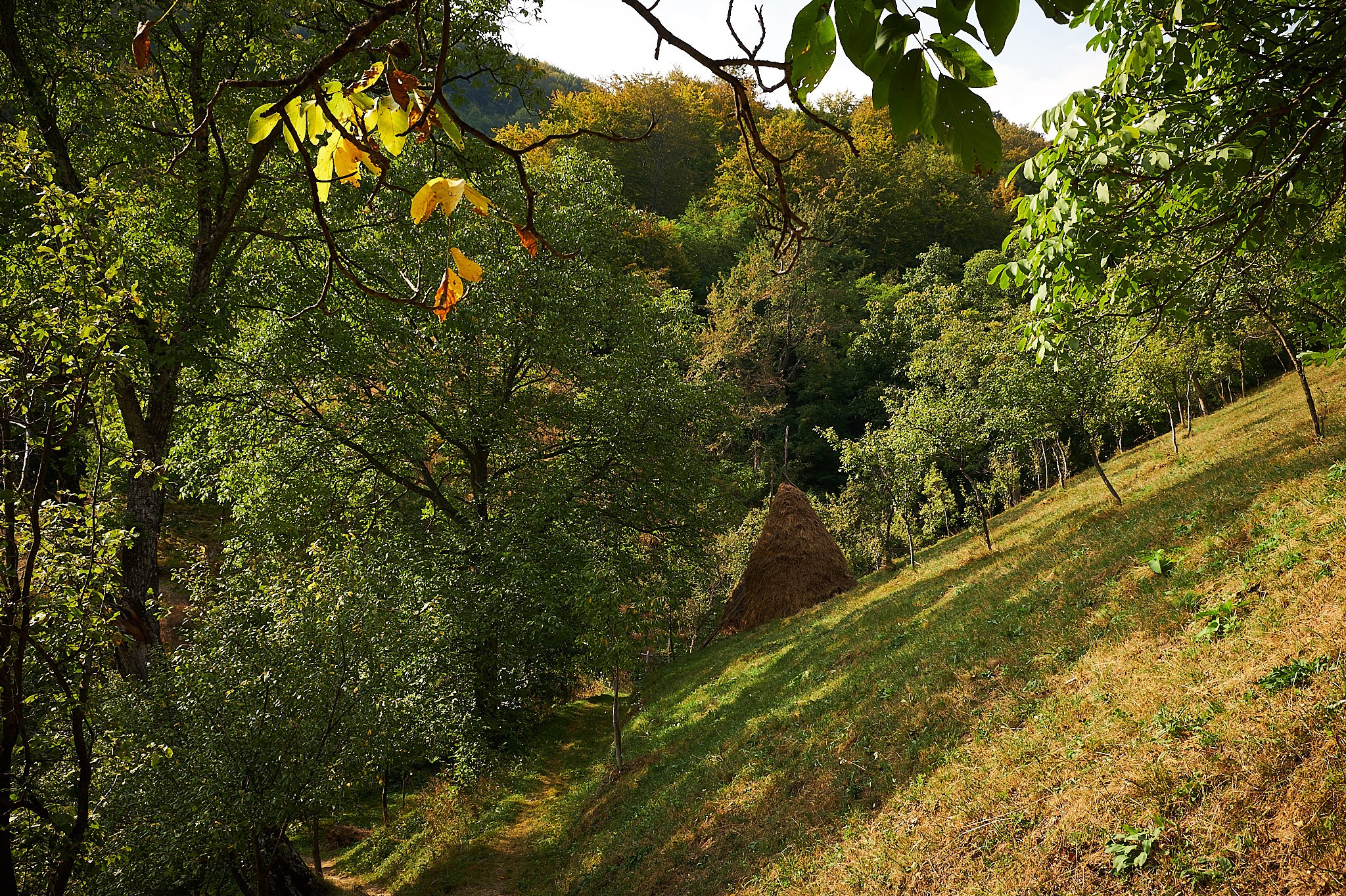 Ineleț, jud. Caraș-Severin. Pagina principală