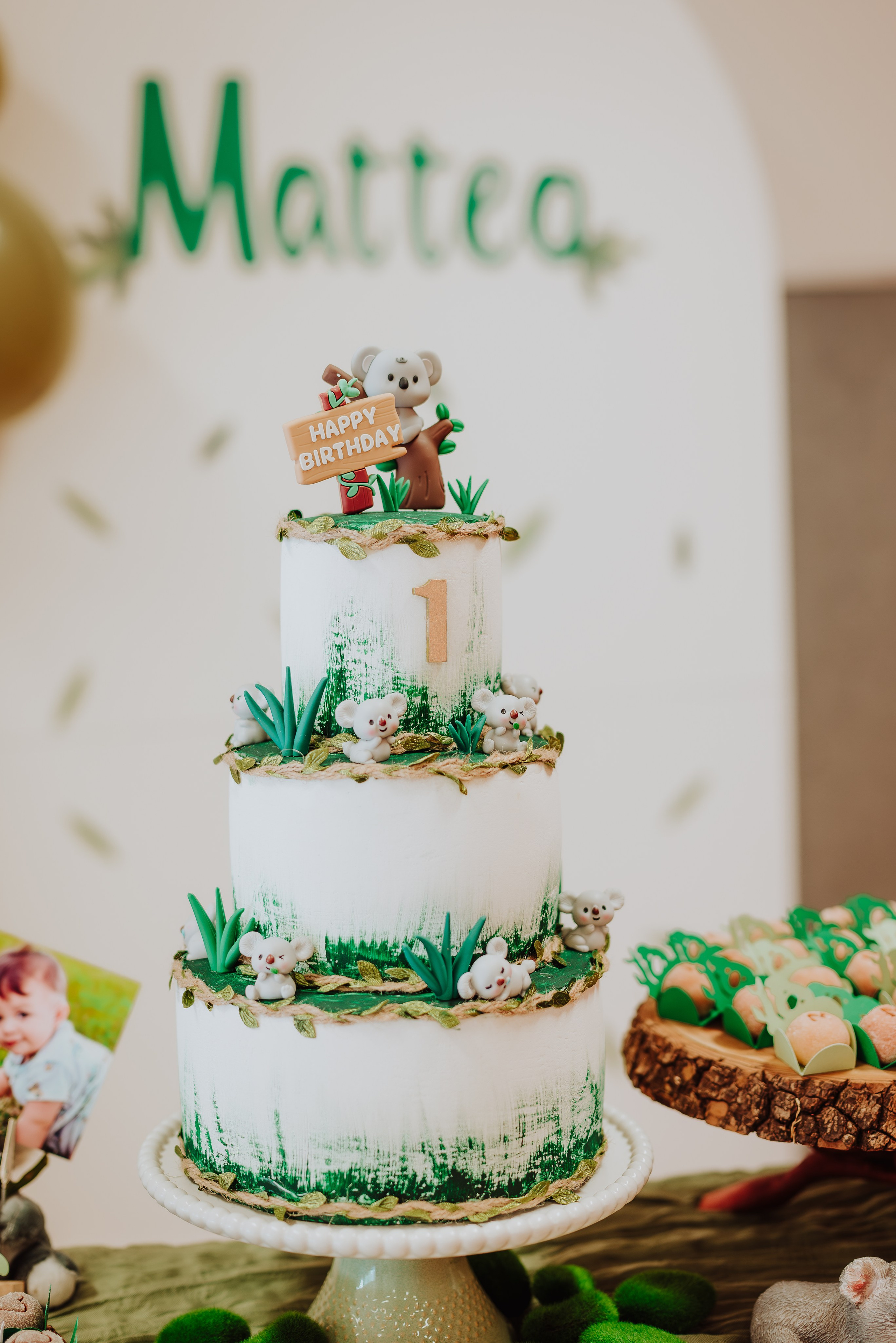 Celebrate Birthday -Mateo. JS Photoshoot | Family, Events & Pet Photographer in Brisbane