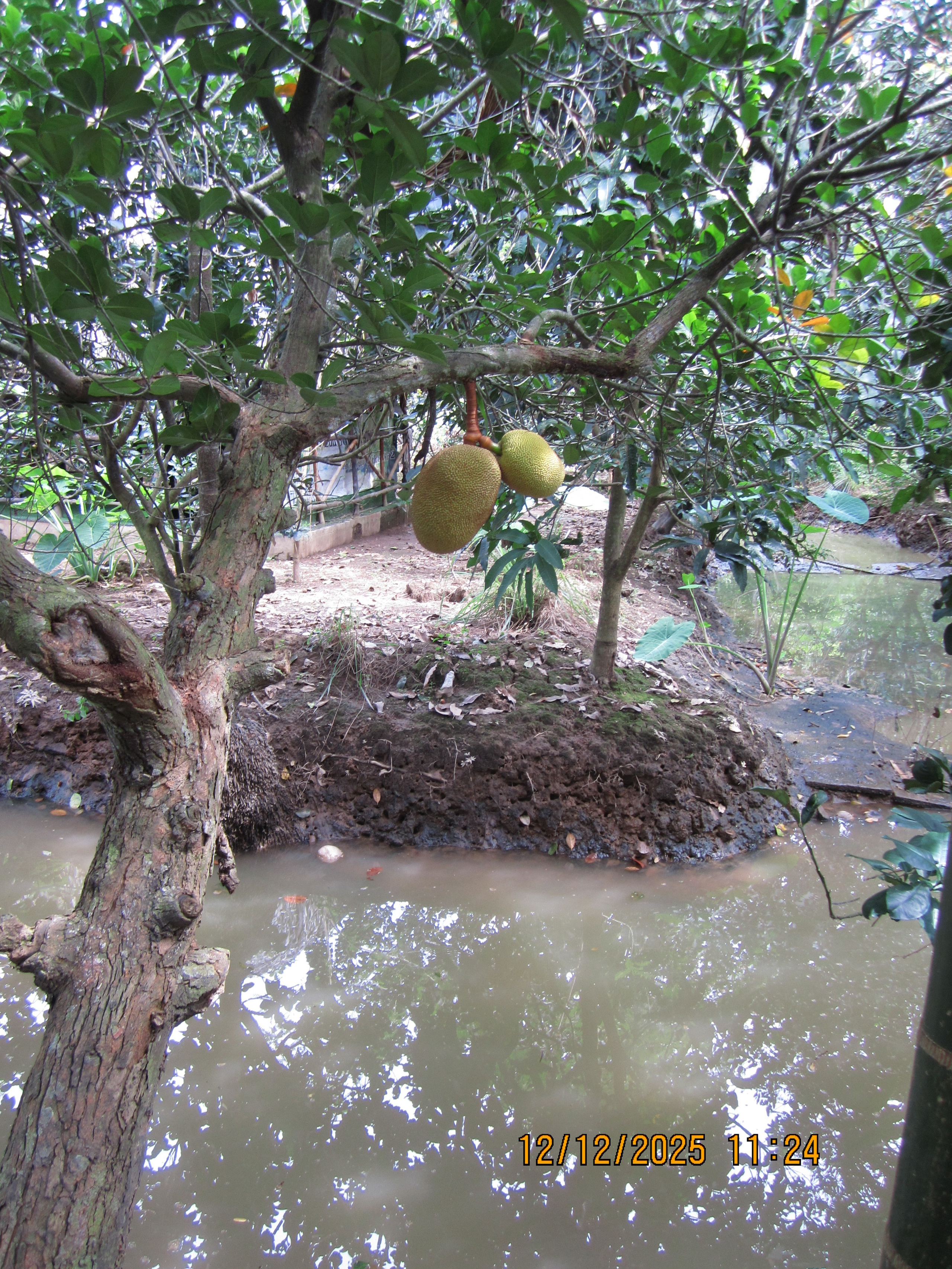 Vietnam. Toit. LondoSpeed Photography