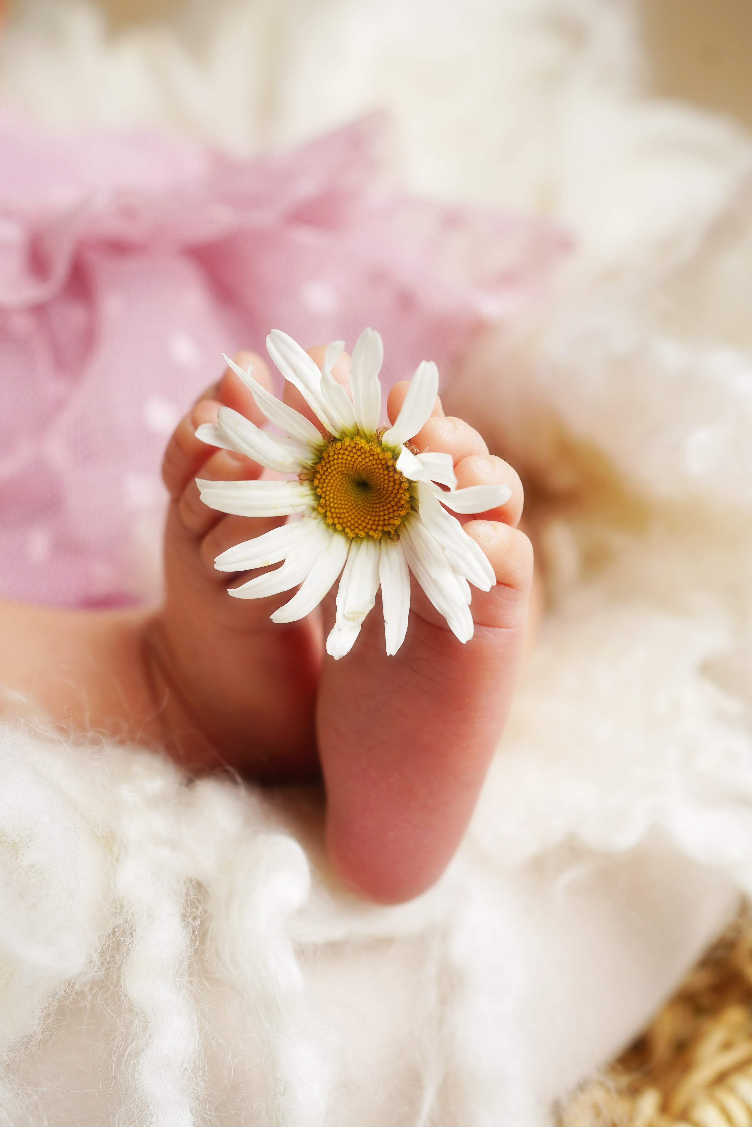 Detailaufnahme von zarten Babyfüßchen mit Gänseblümchen – Babyfotografie Augsburg