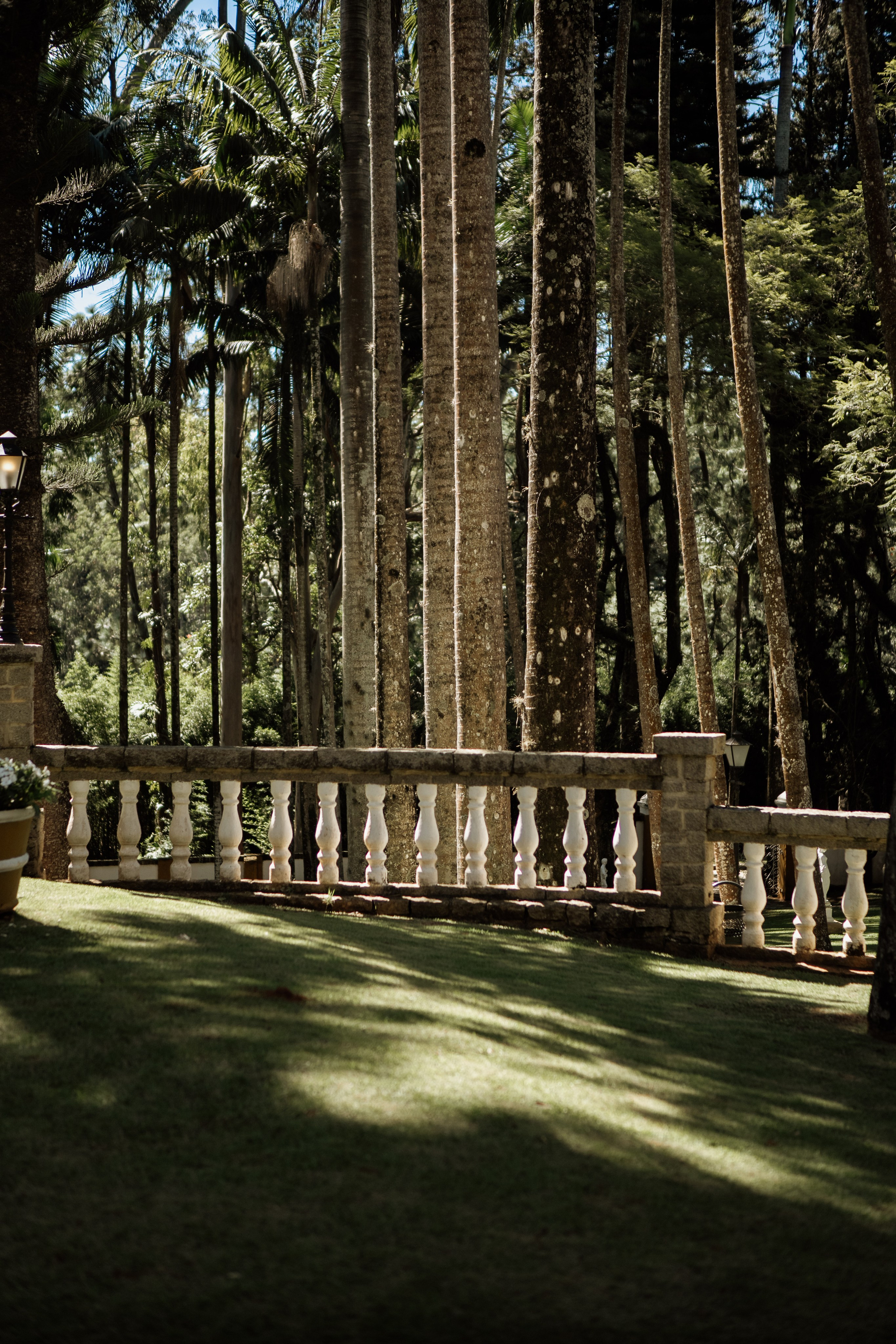 Johanna & Felipe. Congiu Wedding