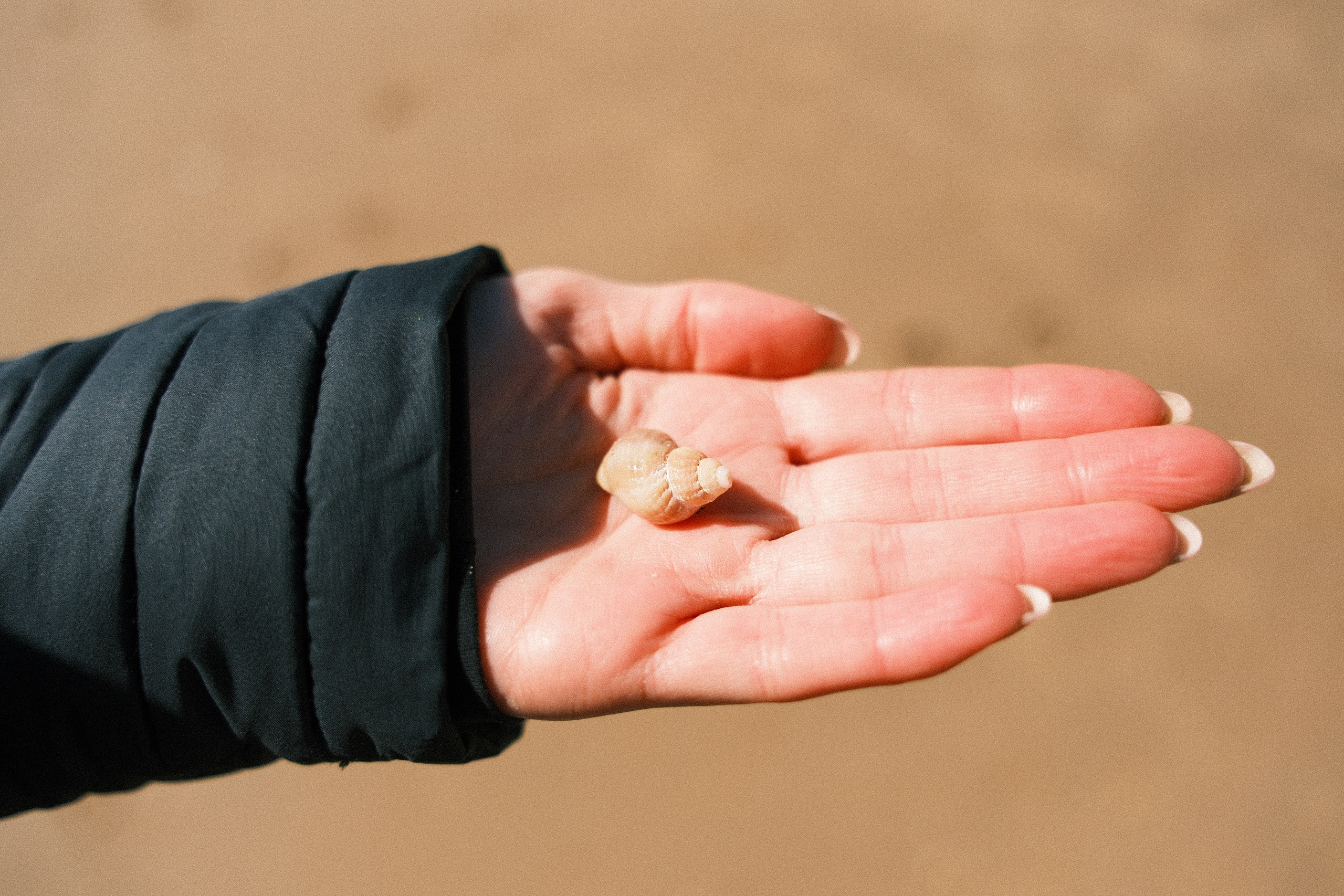 Frinton-on-Sea. Callum Ecobichon