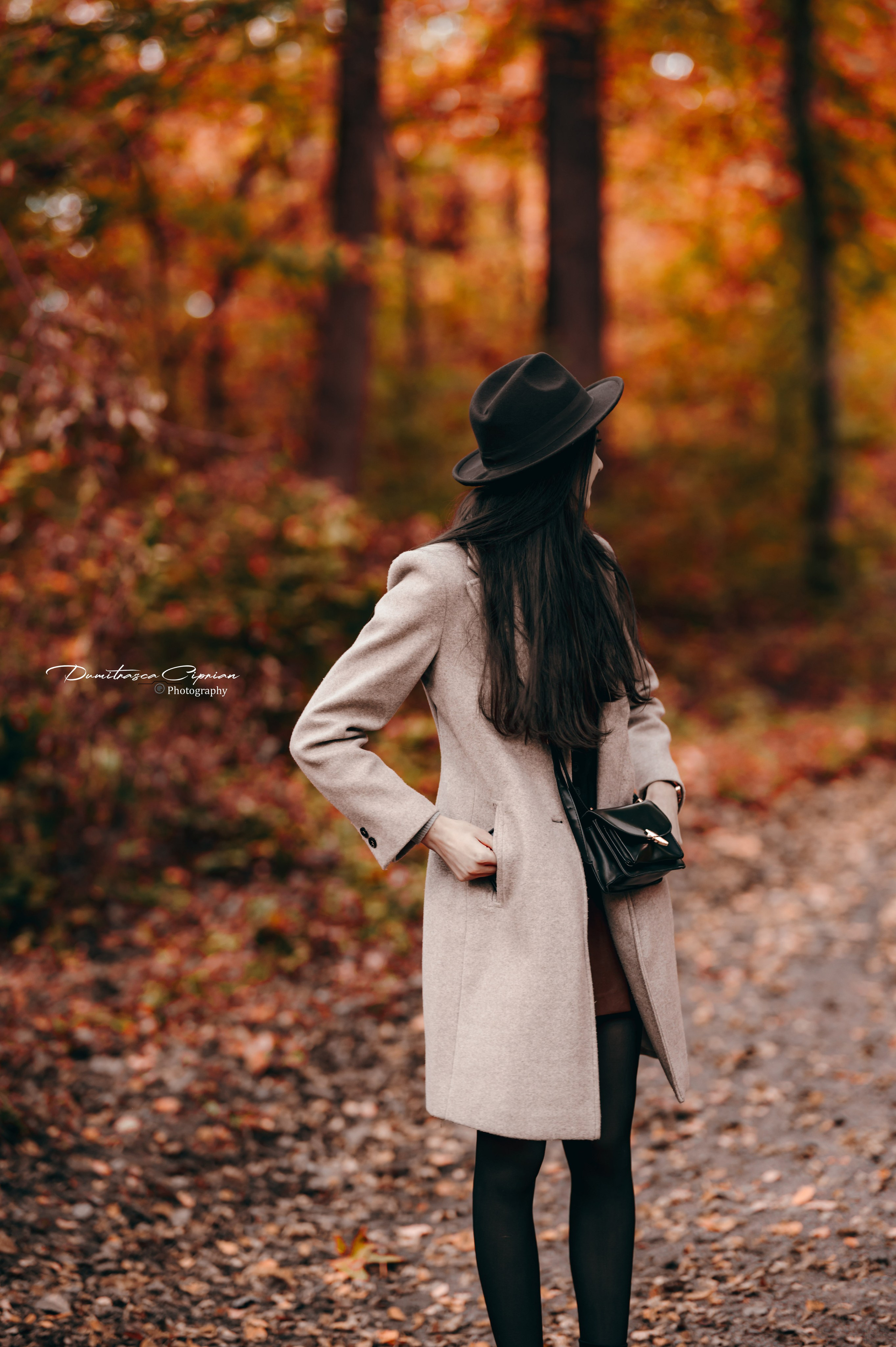 Golden Fall. Dumitrasca Ciprian Photography