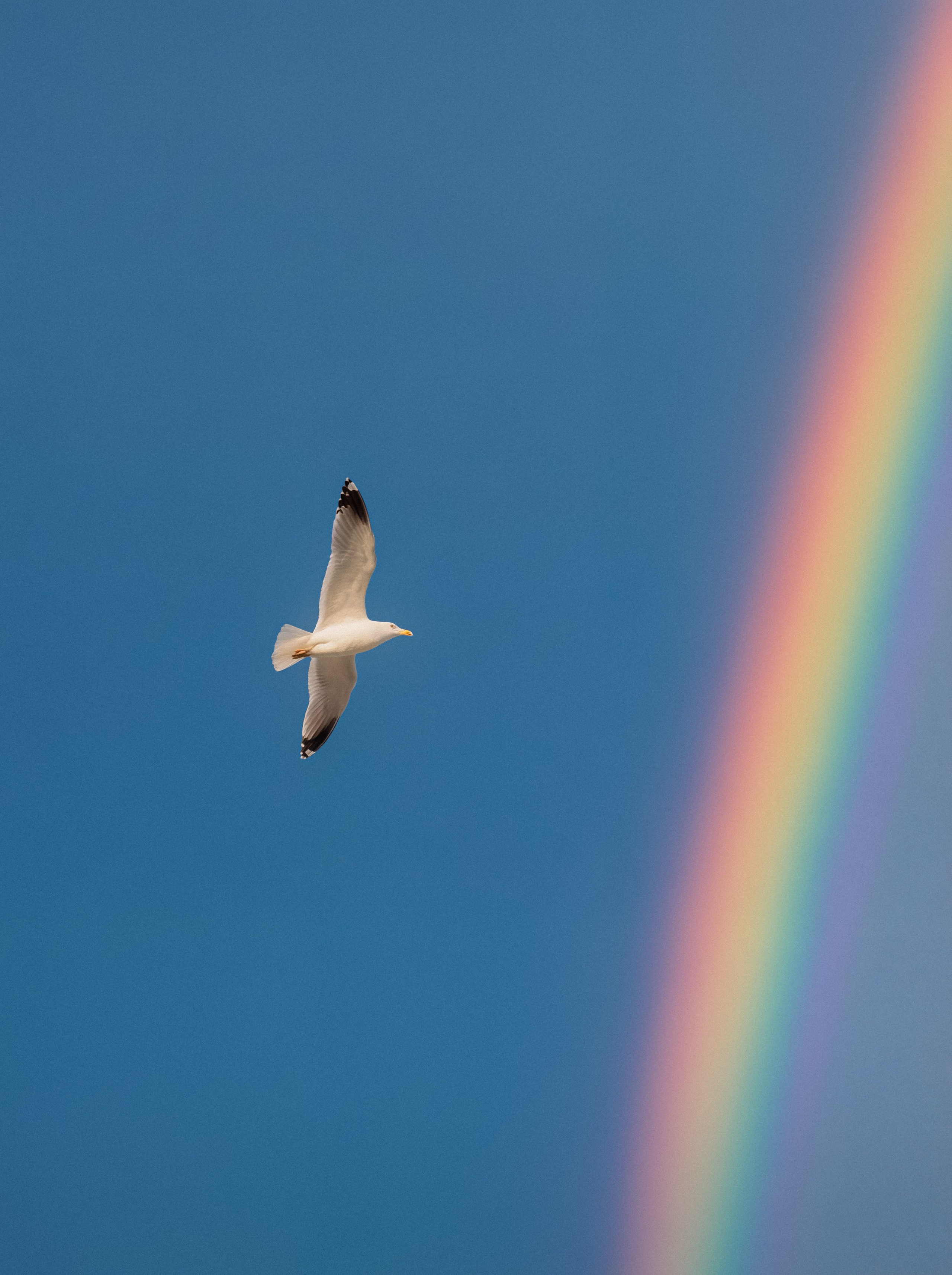 Photos of places around the World