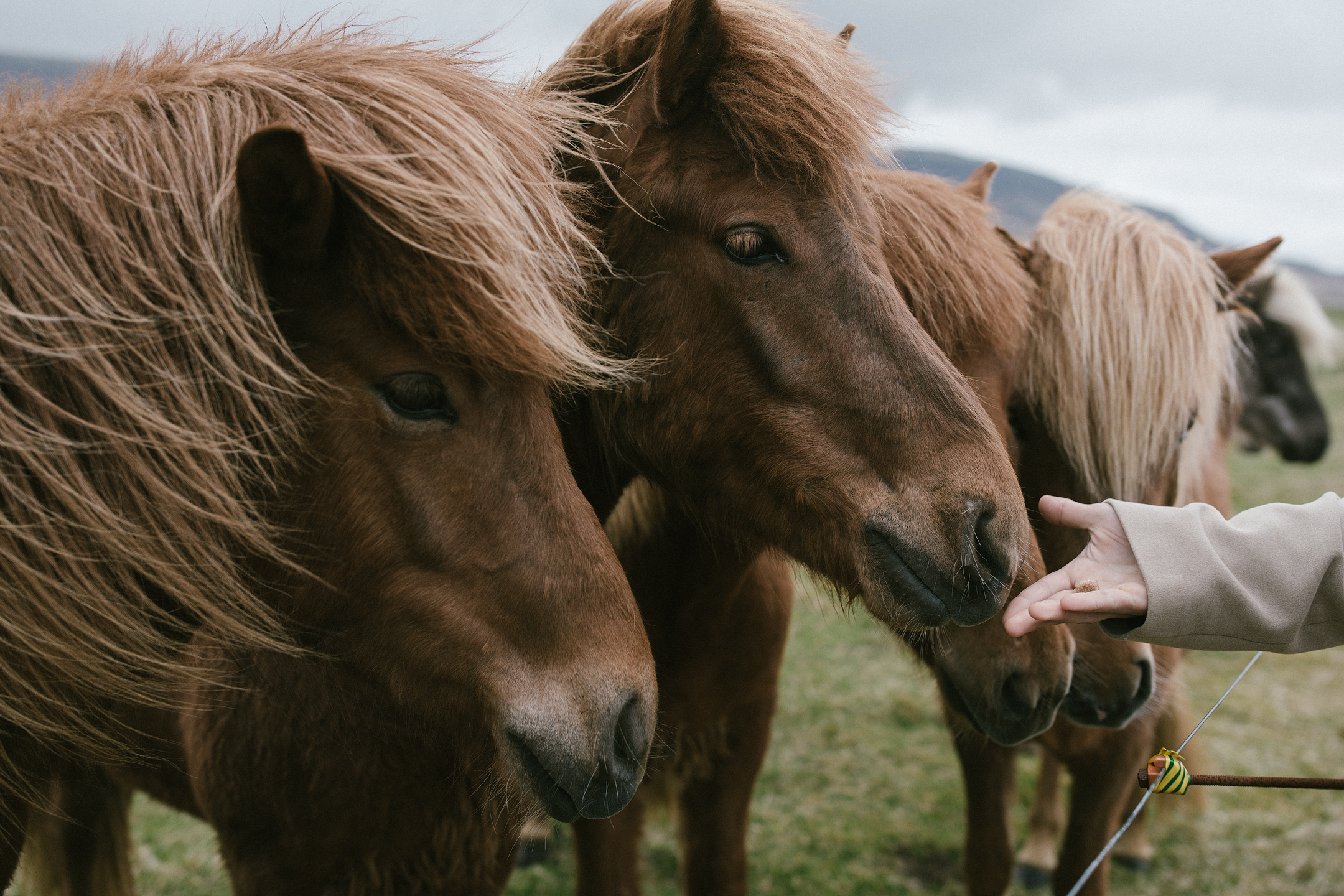 Hochzeitsfotos Island | Gullfoss & Kerid. Hochzeitsfotograf Bodensee & Allgäu | Liliana Berkut