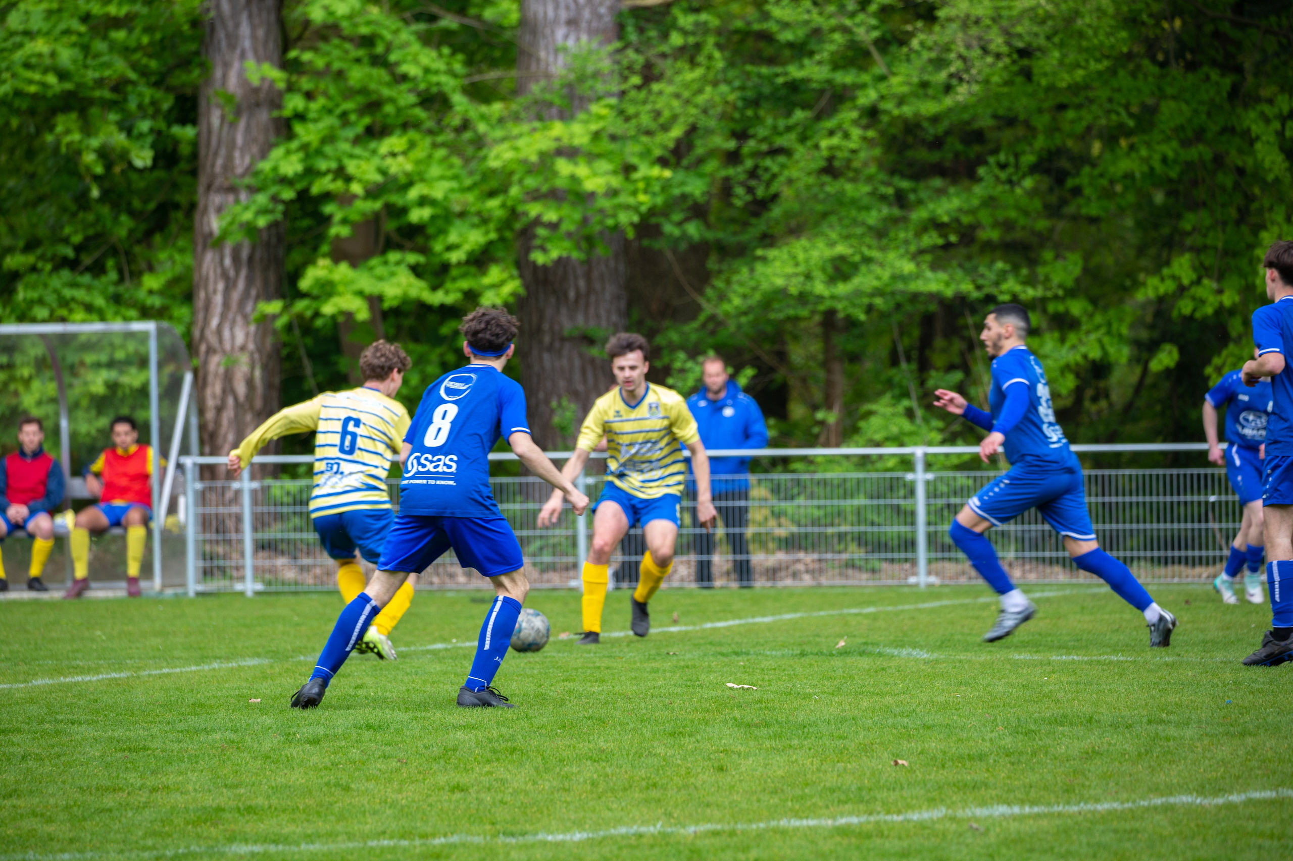 Sports. Family, portrait, and lifestyle photoshoots in Belgium