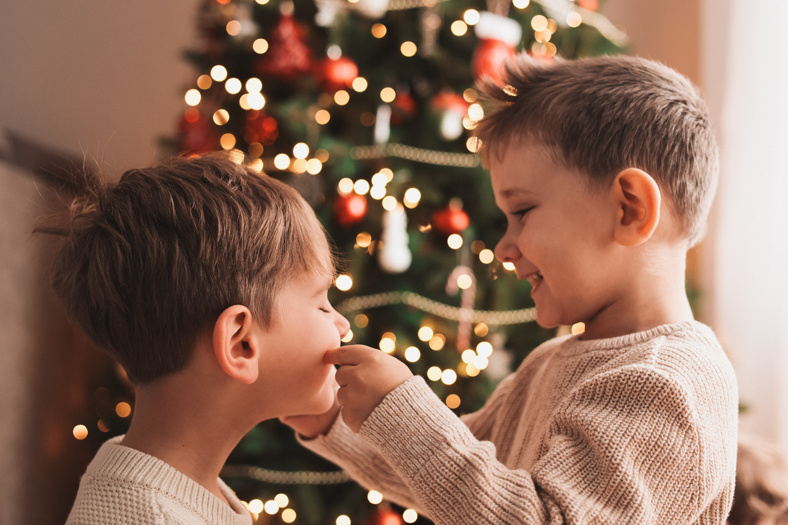 Christmas 2025. Eugenia Guryev Photography | Portrait & Family Photographer in Moncton, New Brunswick