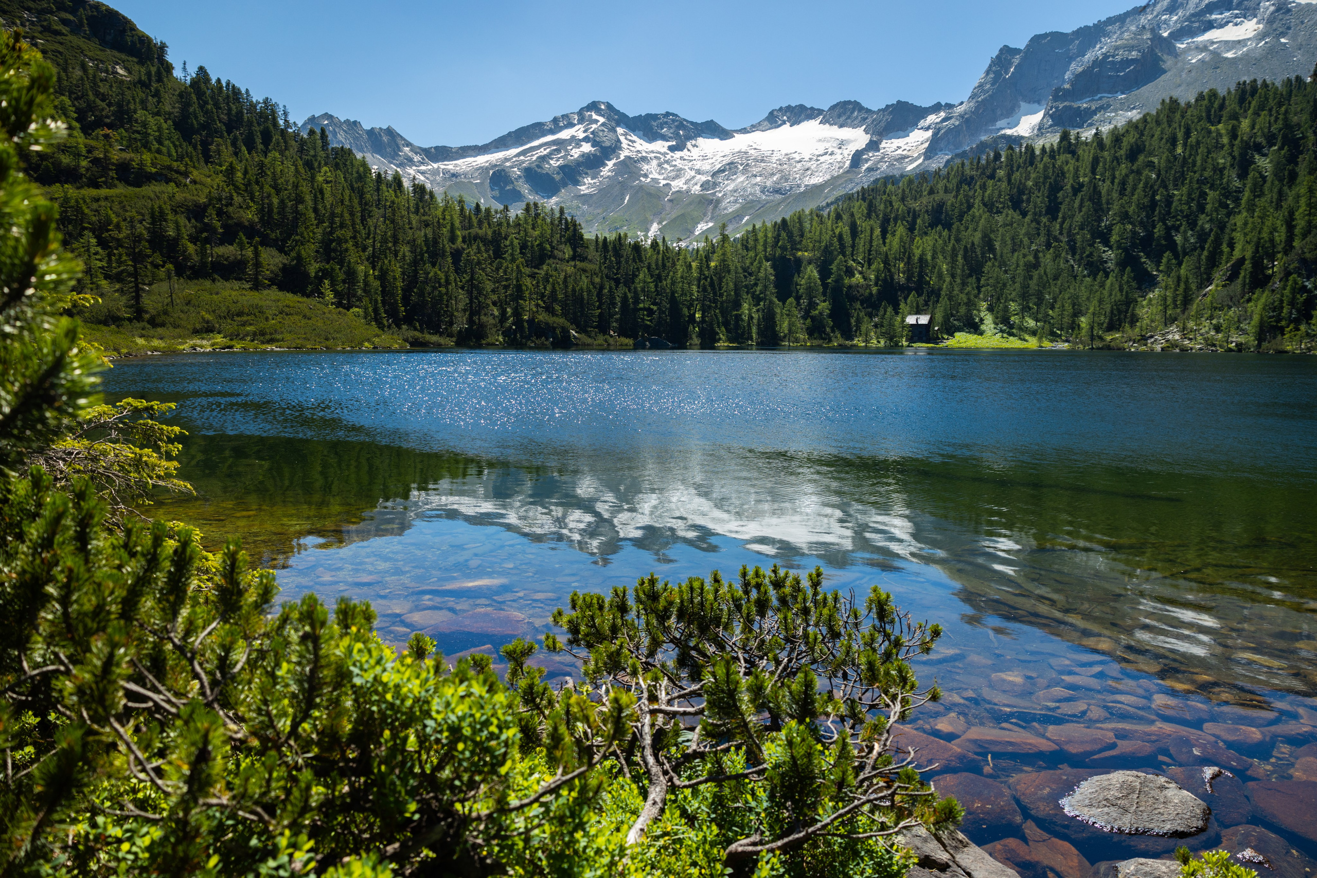 Bewunderung. Guzel Kolobova| Fotografin| Salzburg