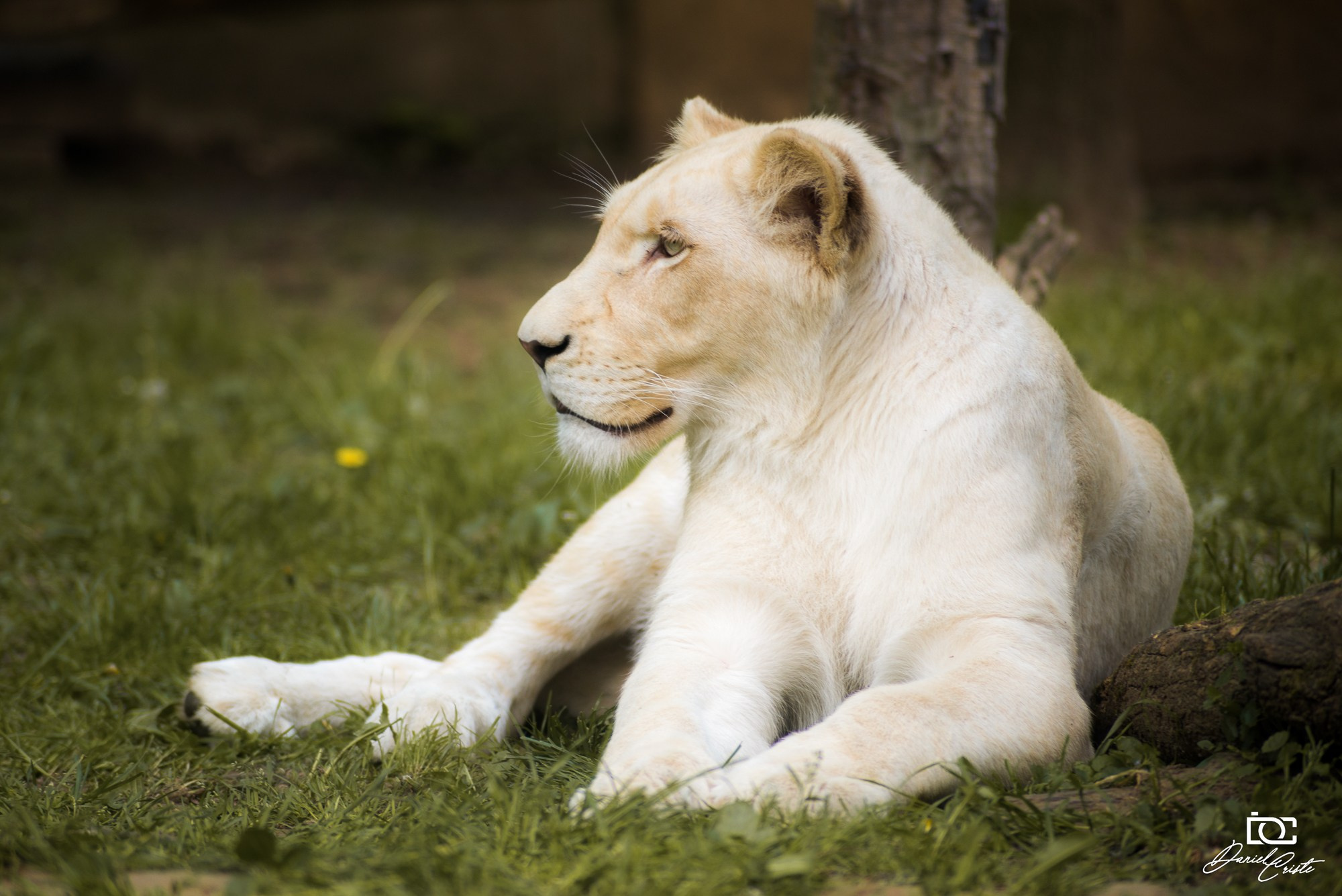 Peisaj /natura. Daniel Criste Fotograf