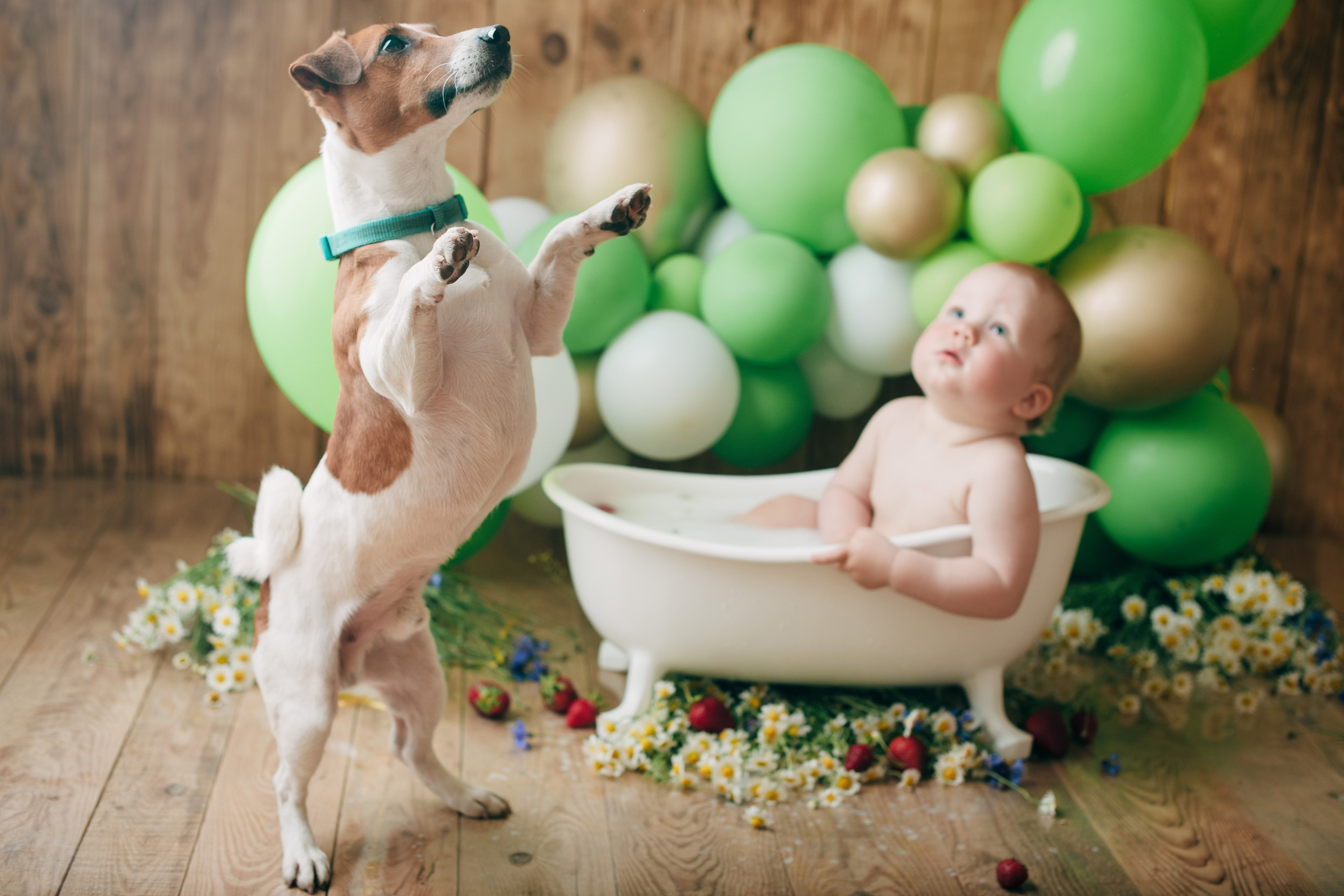 SVYATOSLAV. Https://newbornphoto.wfolio.pro/me