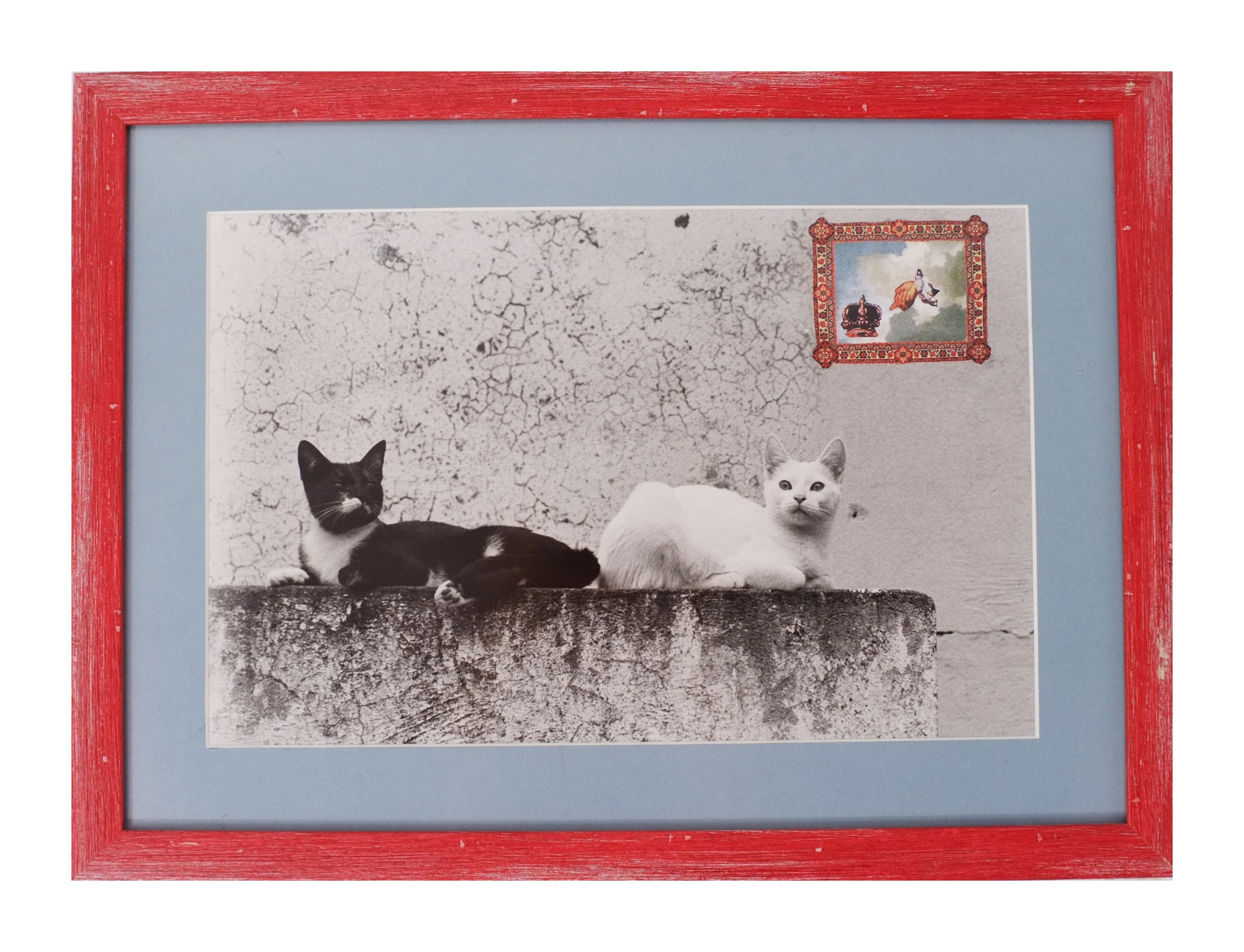 Cat Caravan. Natalia Parfenova visual artist film photographer