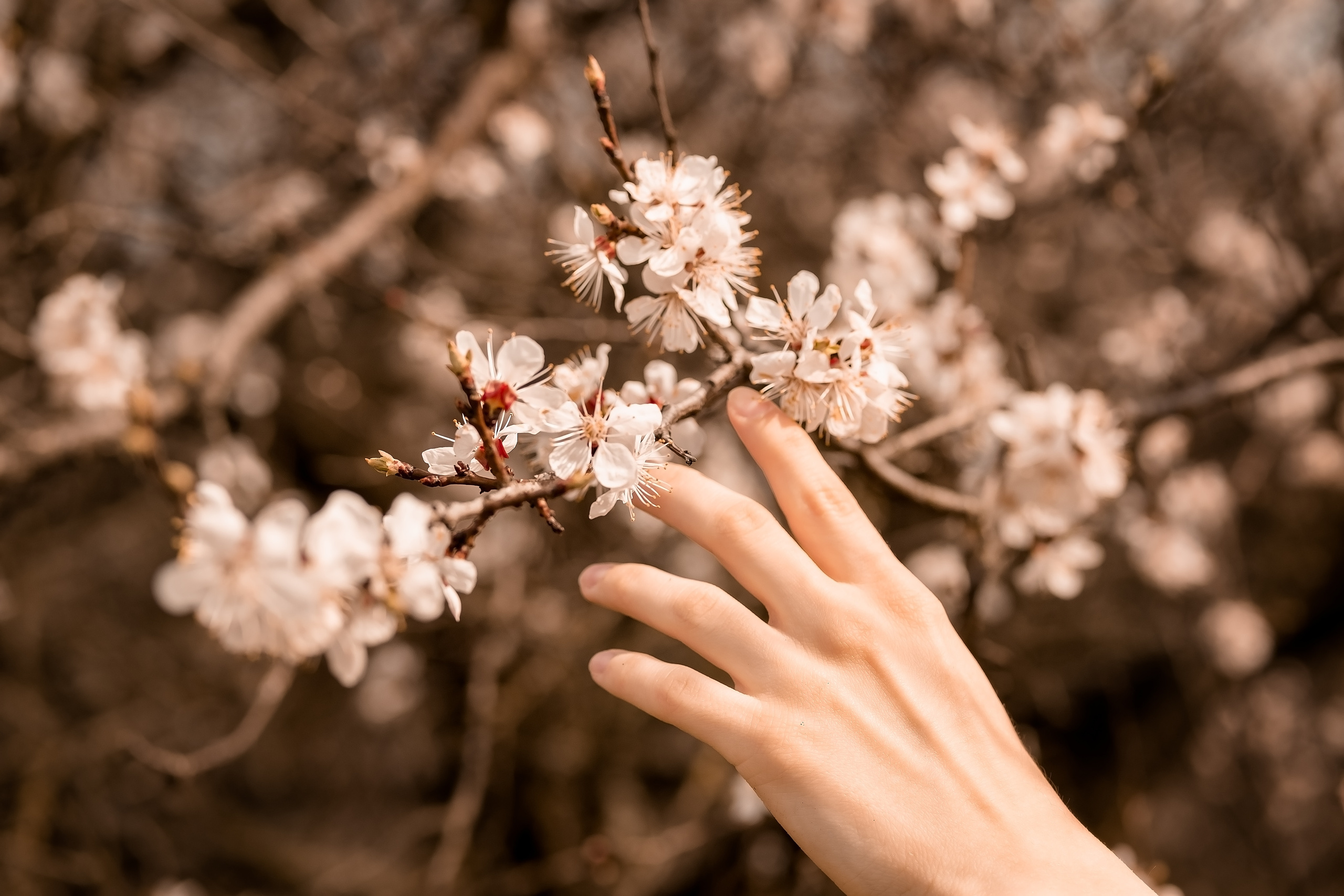 Весна у моєму серці. Валерія Сичова. Сімейний та репортажний фотограф в Португаліі