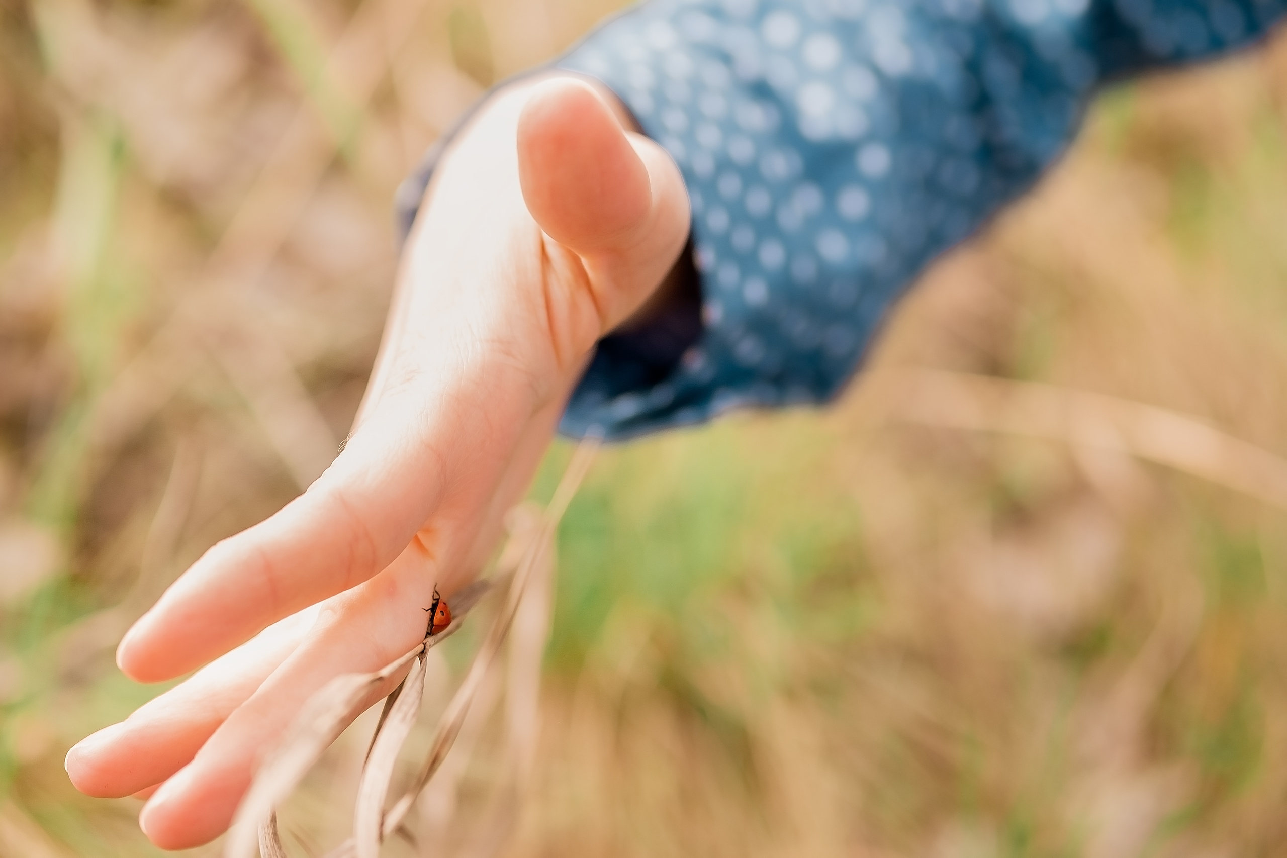 Весна у моєму серці. Валерія Сичова. Сімейний та репортажний фотограф в Португаліі