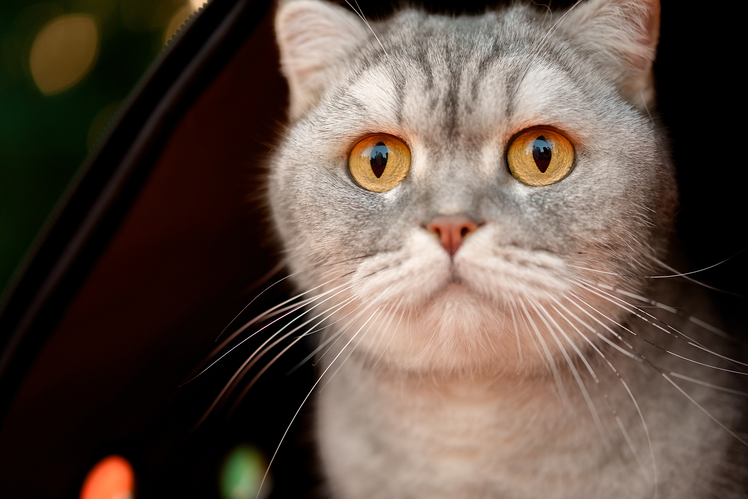 Я та моя улюблена Асоль. Валерія Сичова. Сімейний та репортажний фотограф в Португаліі