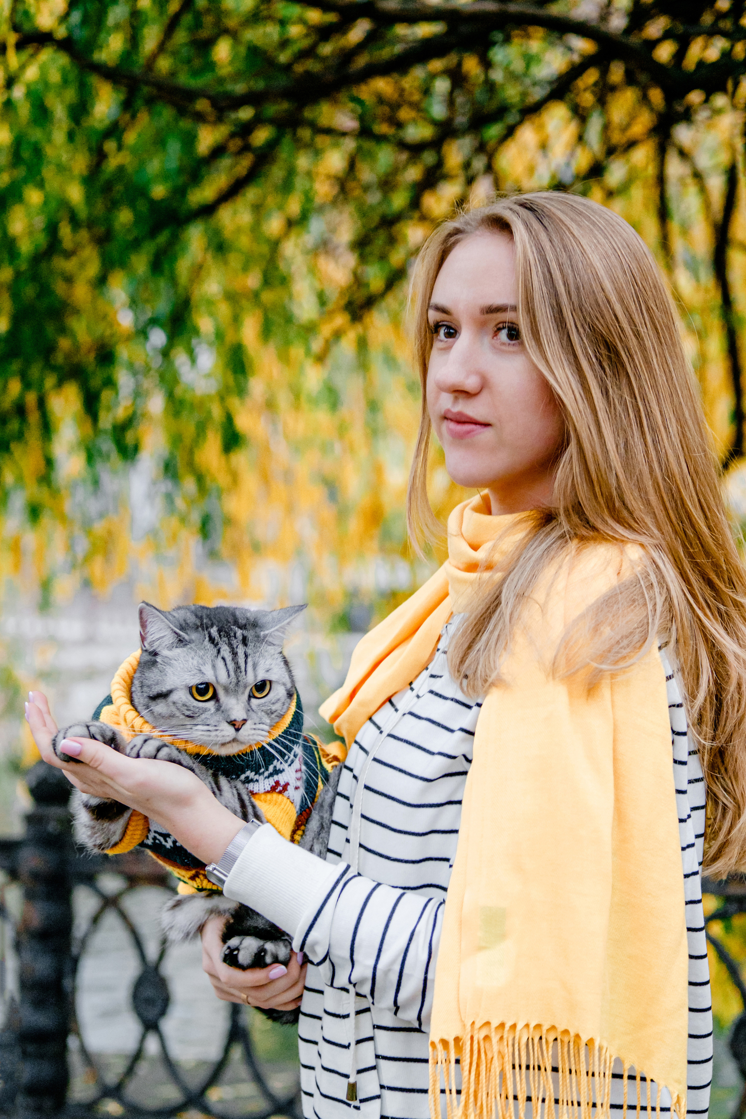 Котики також сімїя. Валерія Сичова. Сімейний та репортажний фотограф в Португаліі