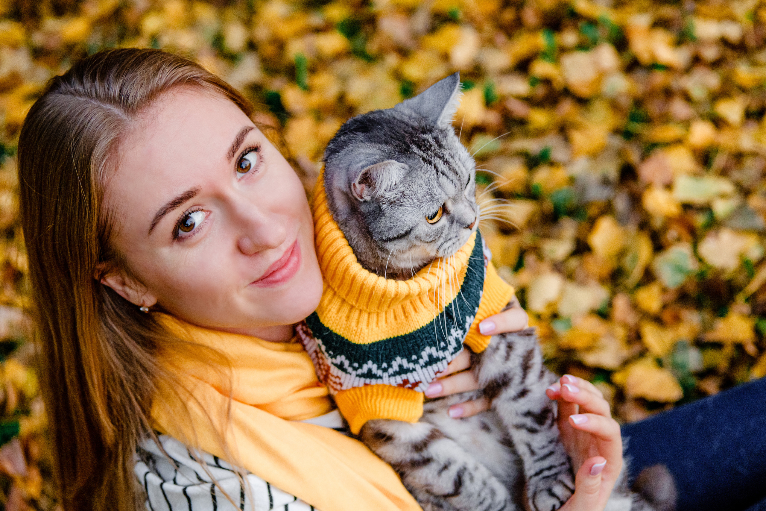 Котики також сімїя. Валерія Сичова. Сімейний та репортажний фотограф в Португаліі