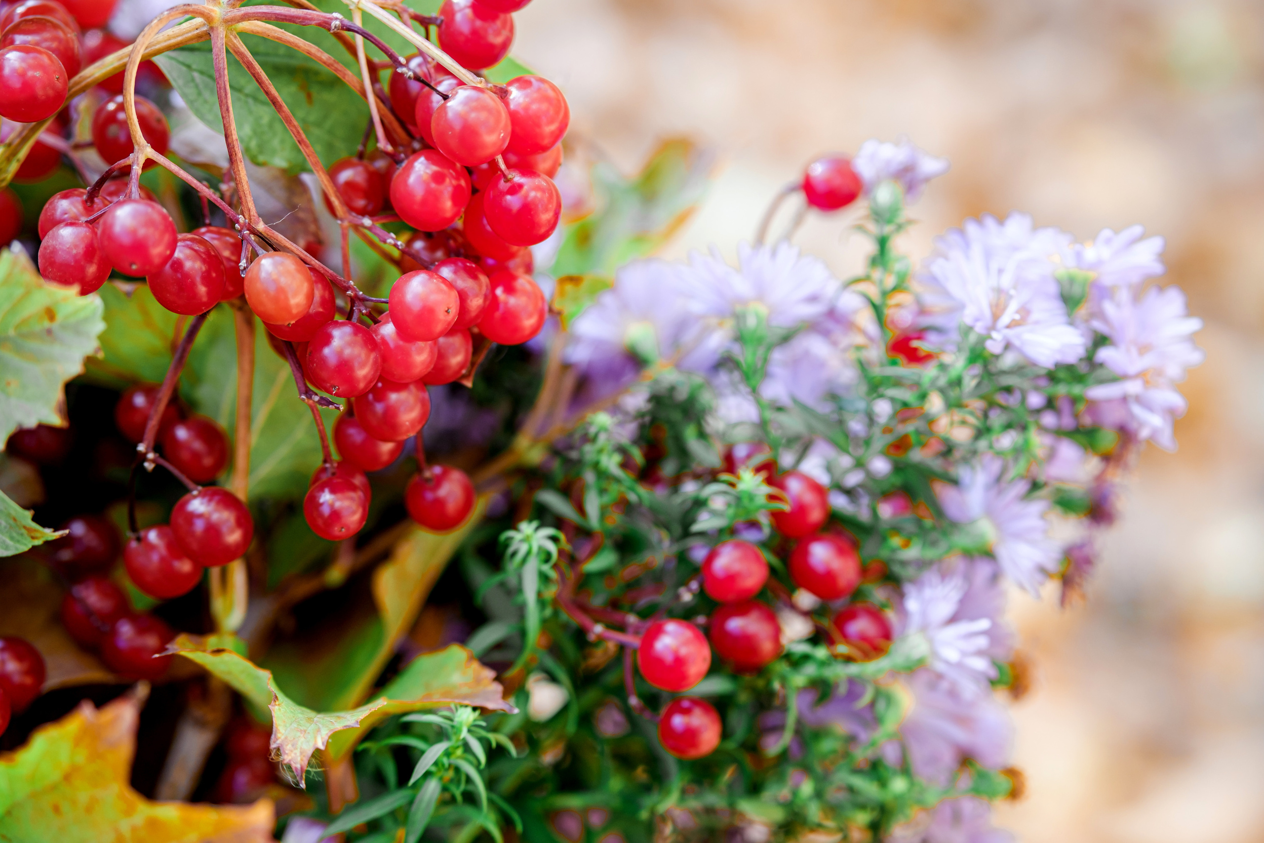 Осіння прогулянка. Валерія Сичова. Сімейний та репортажний фотограф в Португаліі