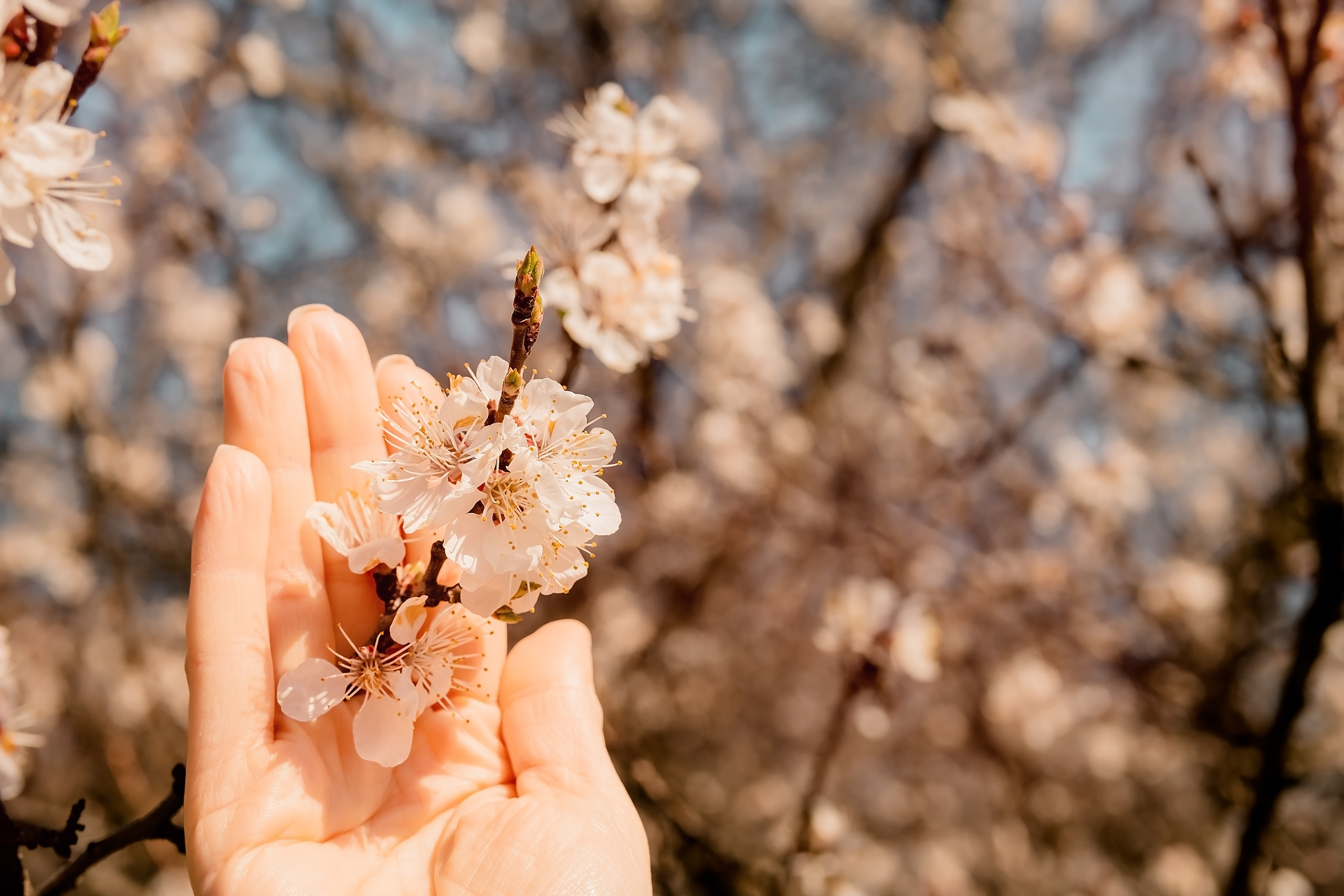 Настрій «Весна». Валерія Сичова. Сімейний та репортажний фотограф в Португаліі