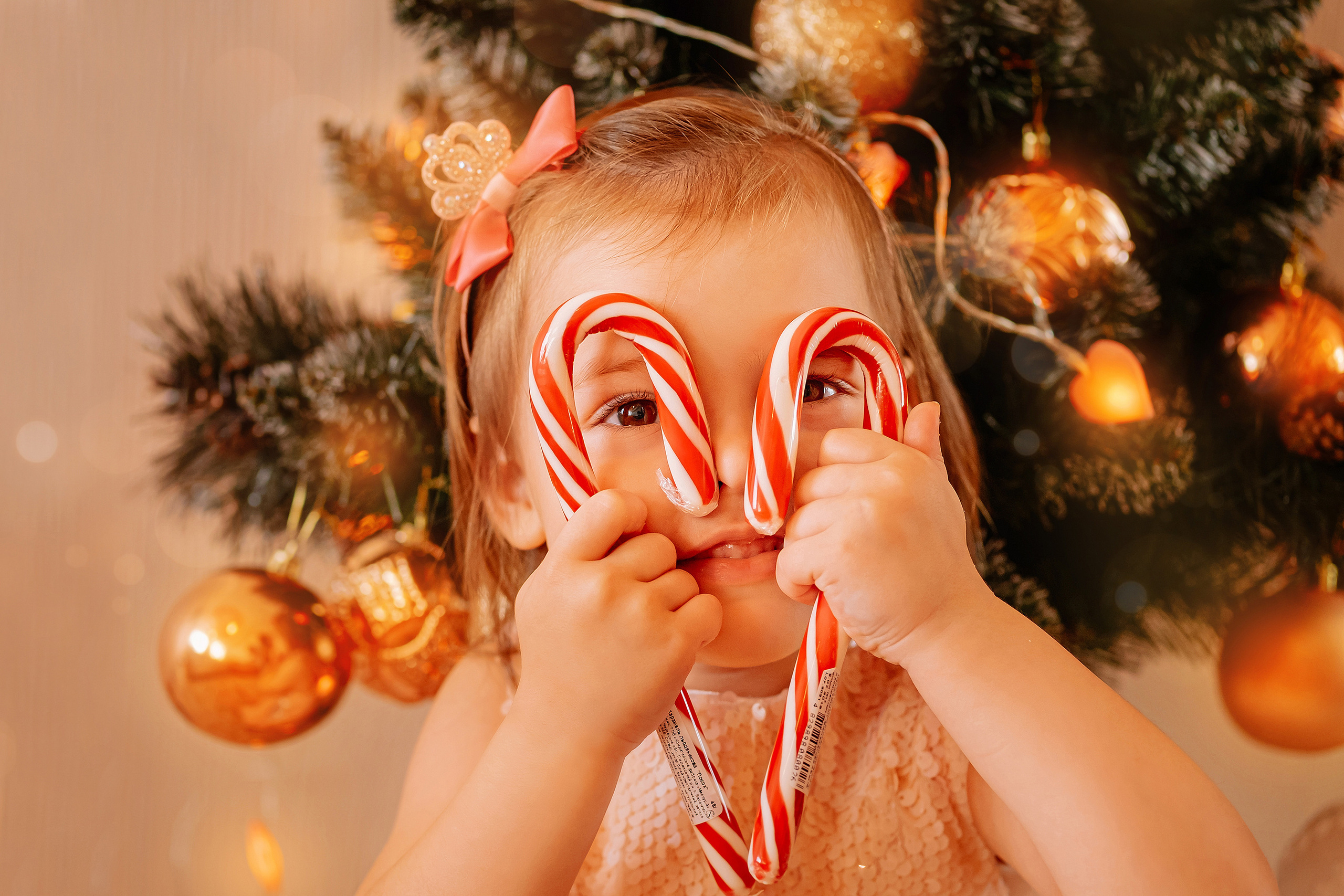 Аромат Різдва. Валерія Сичова. Сімейний та репортажний фотограф в Португаліі