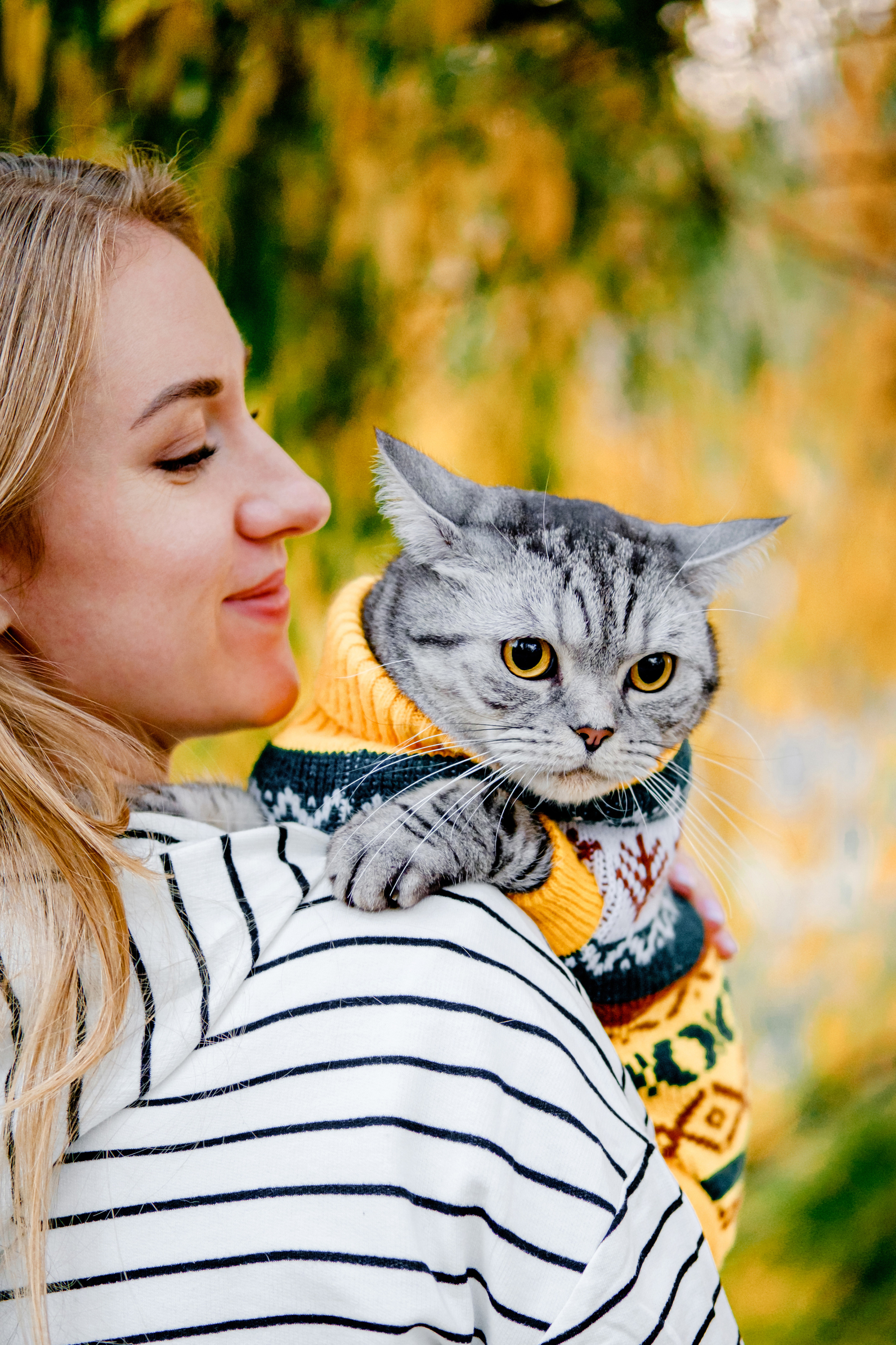Котики також сімїя. Валерія Сичова. Сімейний та репортажний фотограф в Португаліі