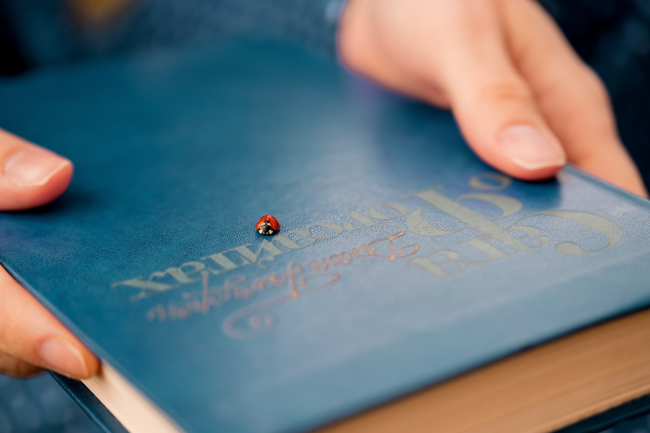 Весна у моєму серці. Валерія Сичова. Сімейний та репортажний фотограф в Португаліі