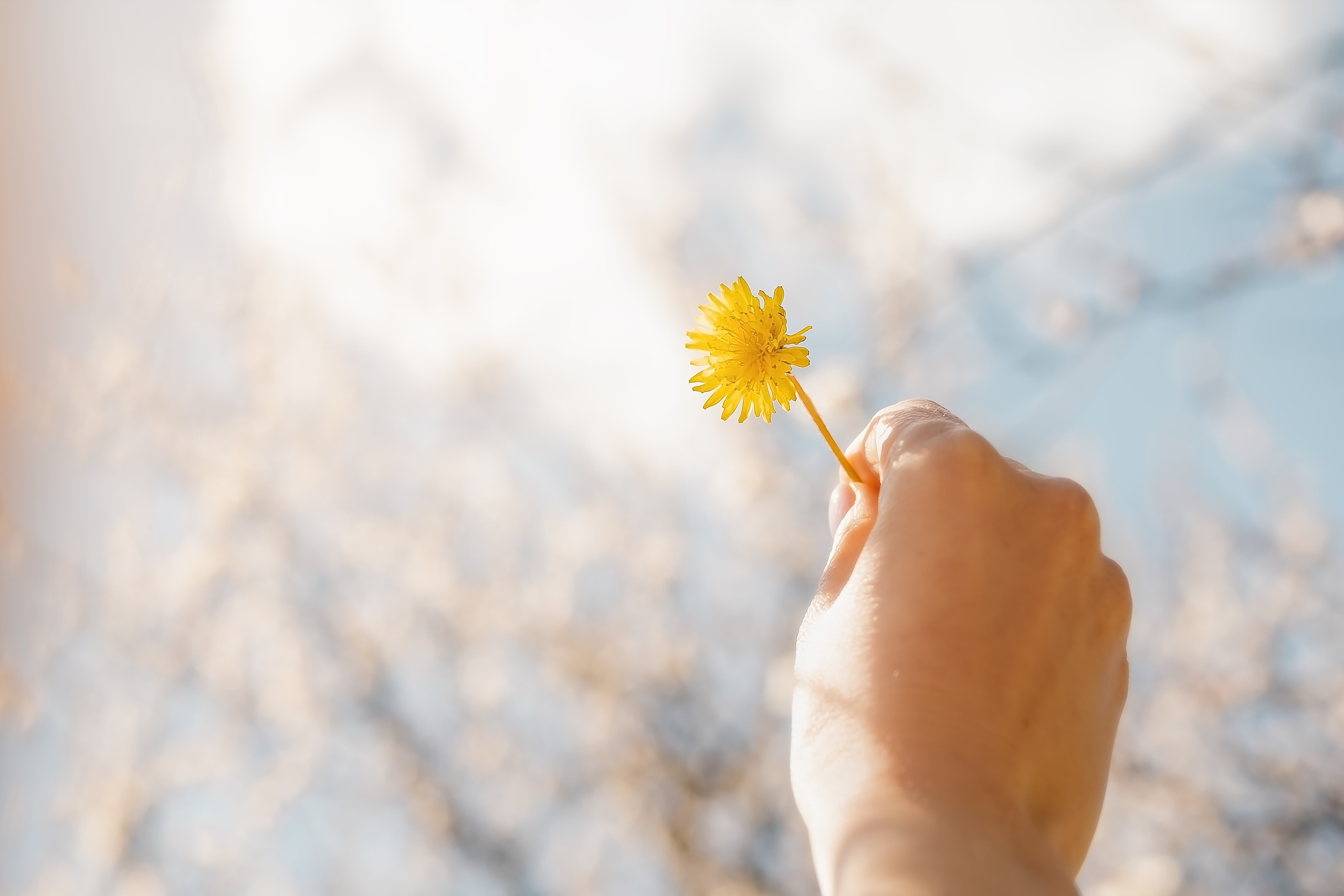 Настрій «Весна». Валерія Сичова. Сімейний та репортажний фотограф в Португаліі