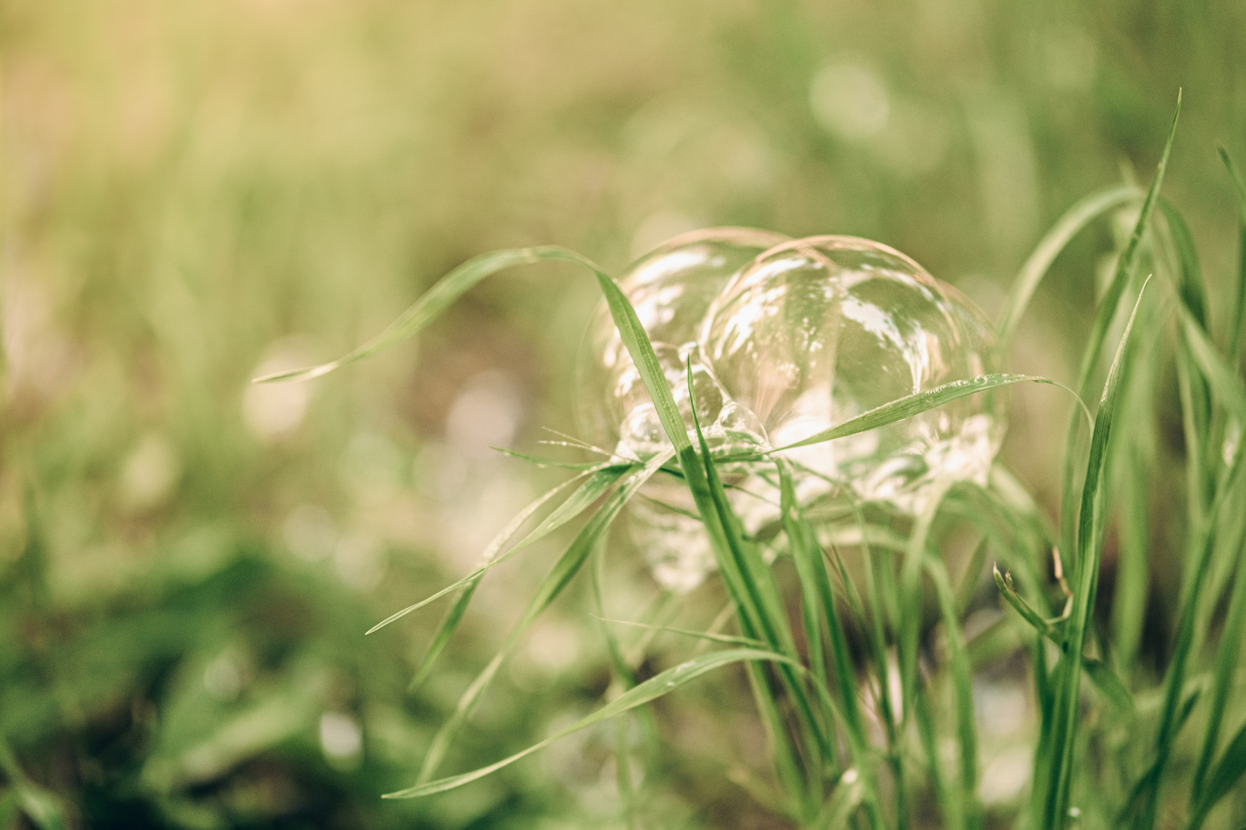 Магія. Валерія Сичова. Сімейний та репортажний фотограф в Португаліі