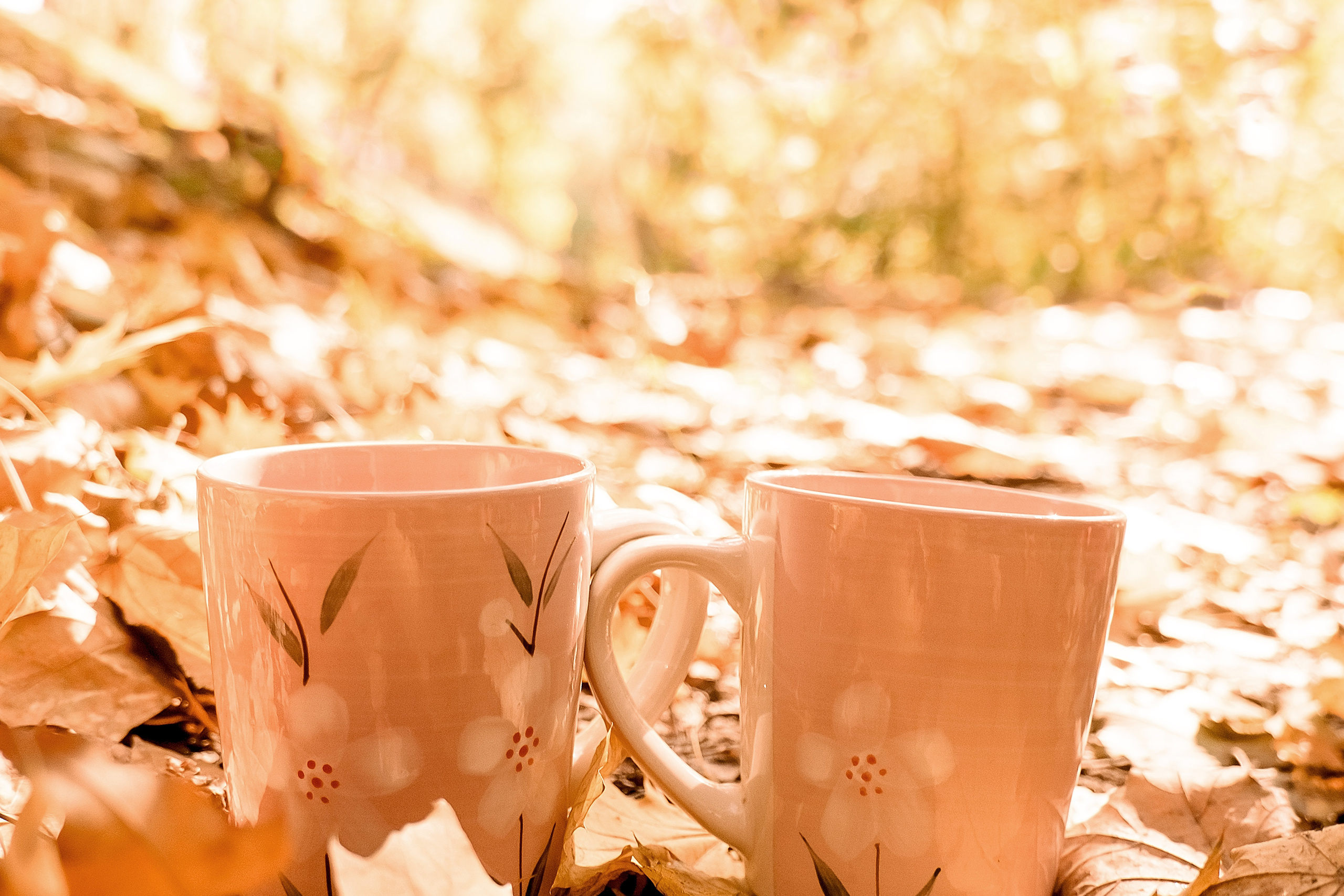 Осіння прогулянка. Валерія Сичова. Сімейний та репортажний фотограф в Португаліі