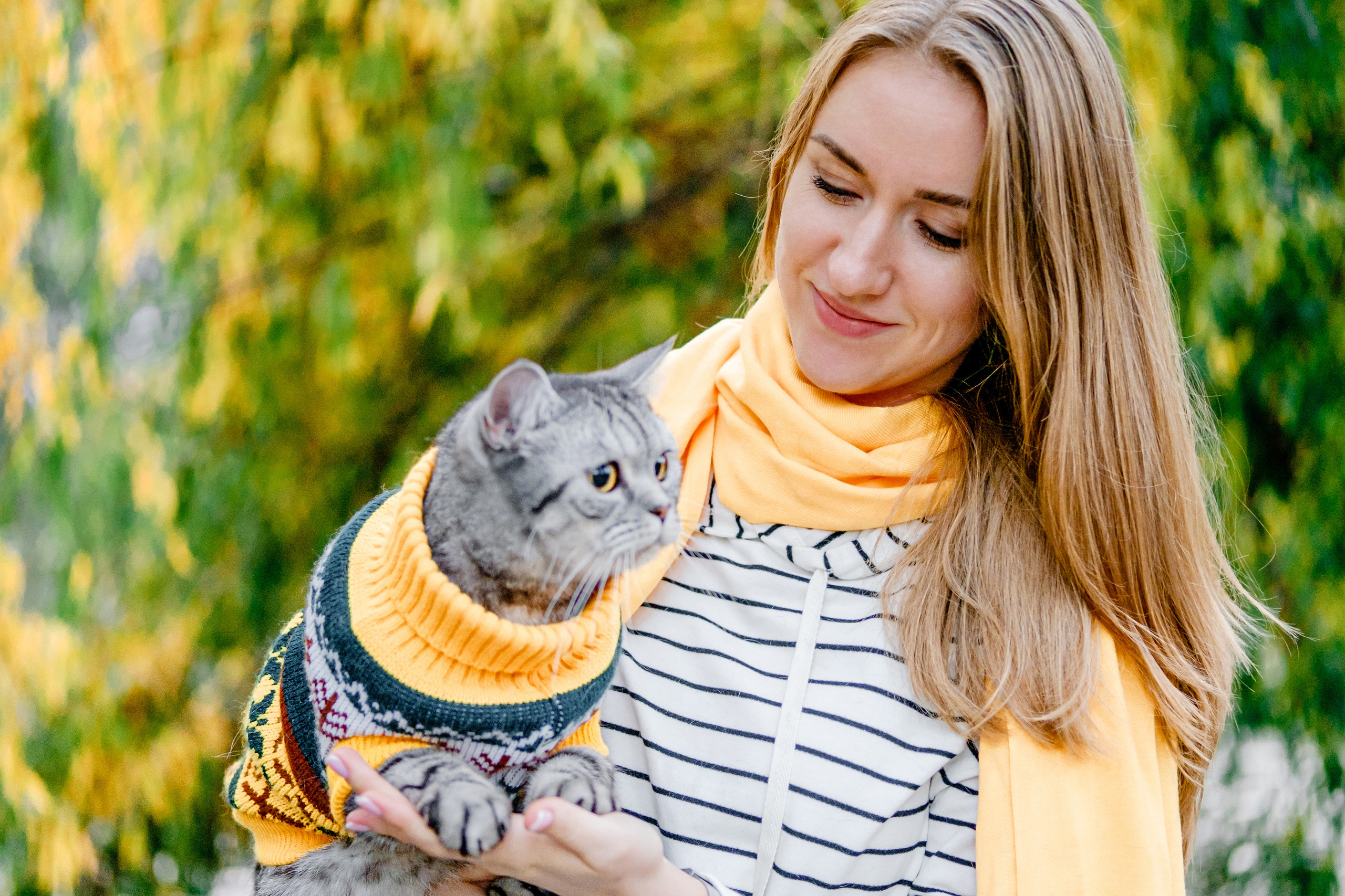 Котики також сімїя. Валерія Сичова. Сімейний та репортажний фотограф в Португаліі