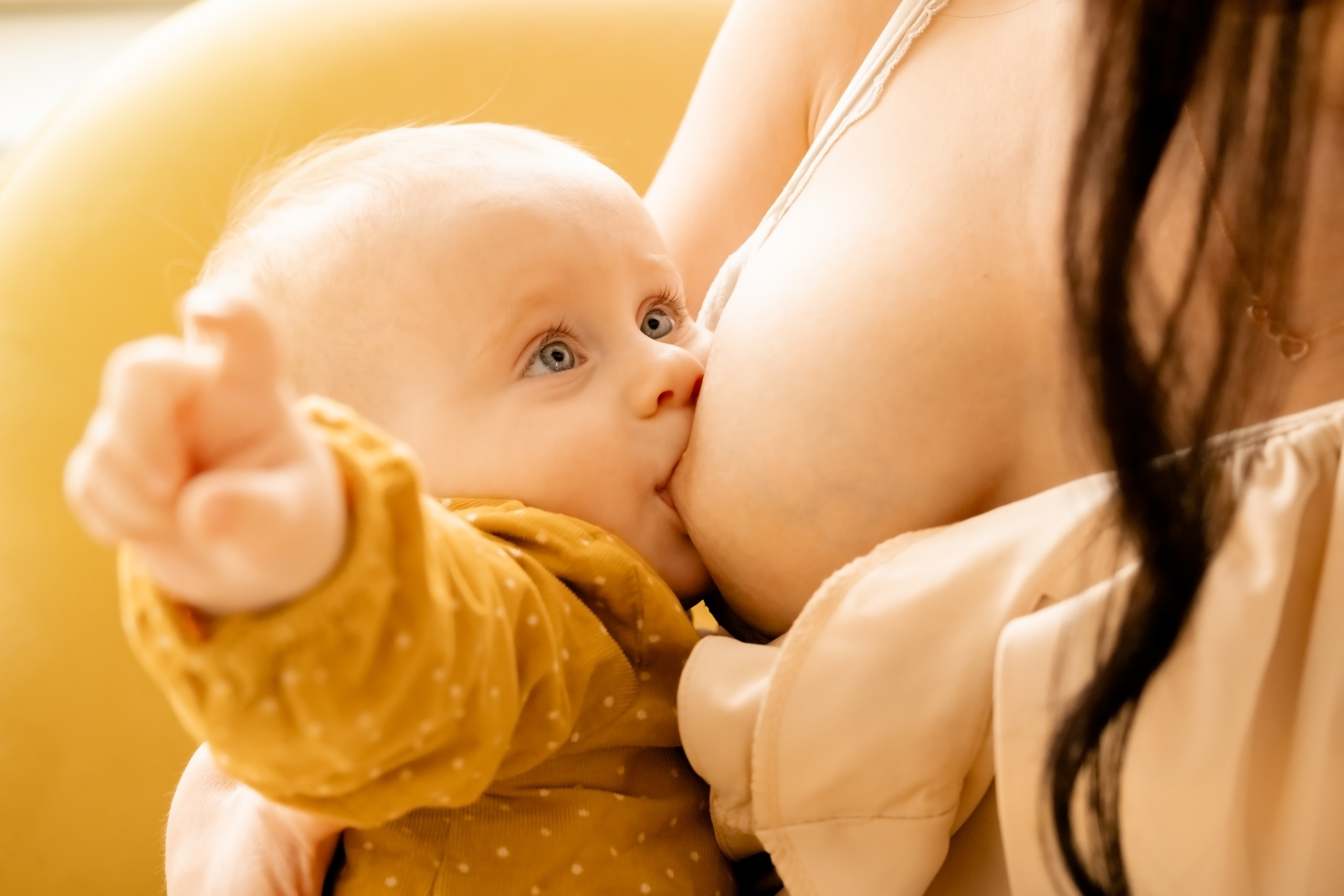 Перший День Народження. Валерія Сичова. Сімейний та репортажний фотограф в Португаліі