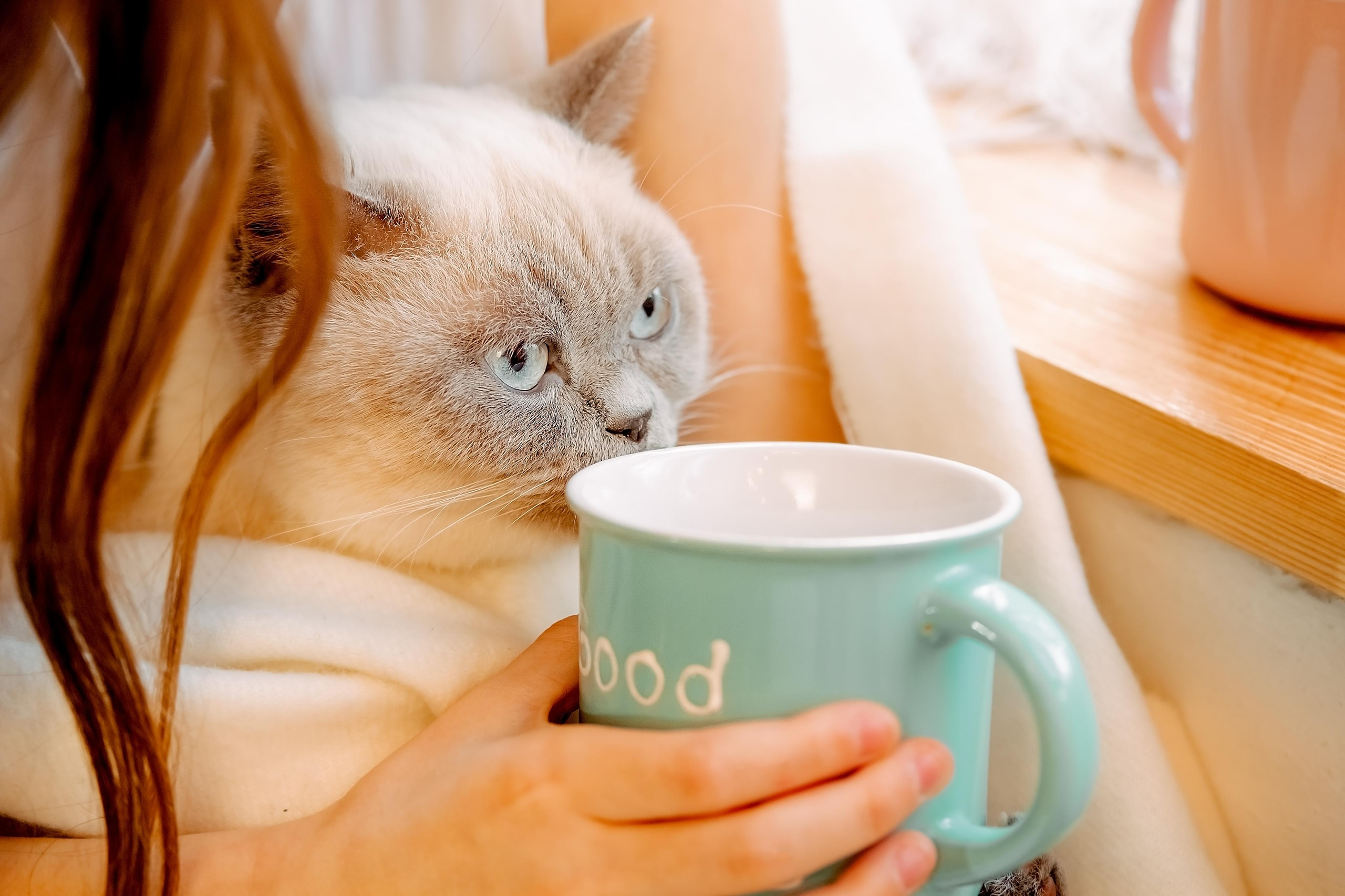 Новорічна казка. Валерія Сичова. Сімейний та репортажний фотограф в Португаліі