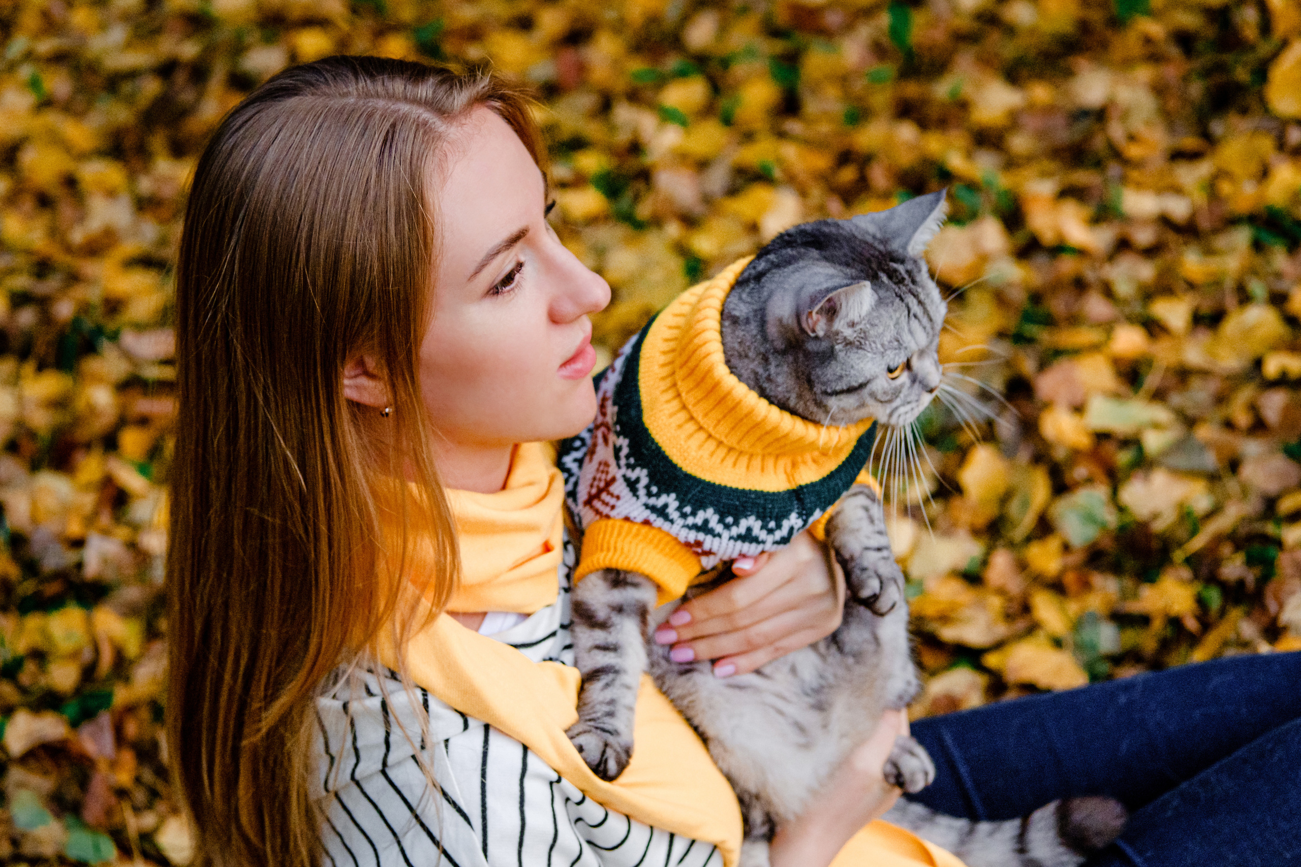 Котики також сімїя. Валерія Сичова. Сімейний та репортажний фотограф в Португаліі