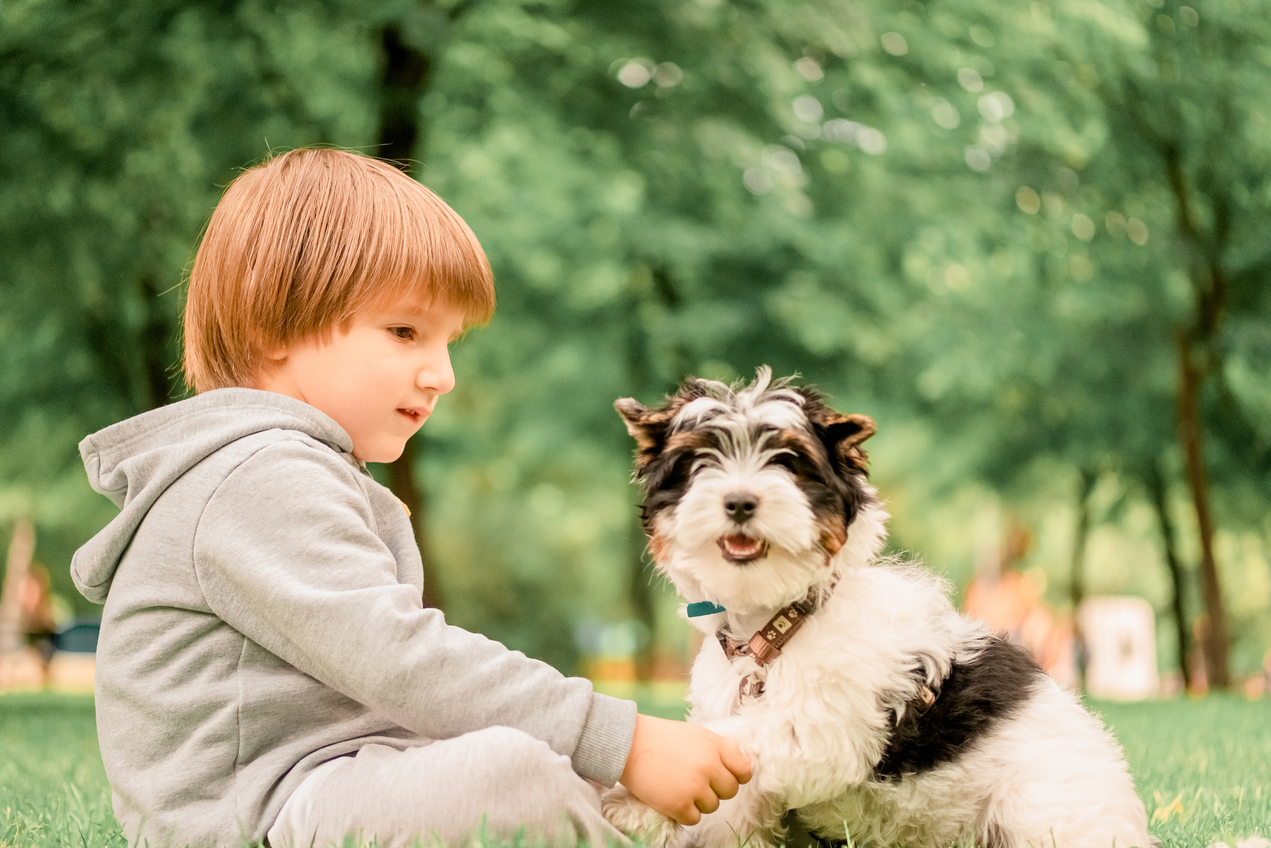 Прогулянка з песиком. Валерія Сичова. Сімейний та репортажний фотограф в Португаліі