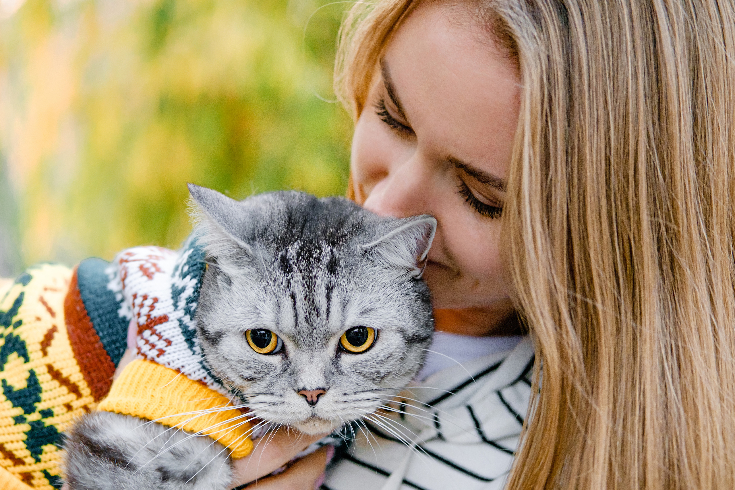 Котики також сімїя. Валерія Сичова. Сімейний та репортажний фотограф в Португаліі