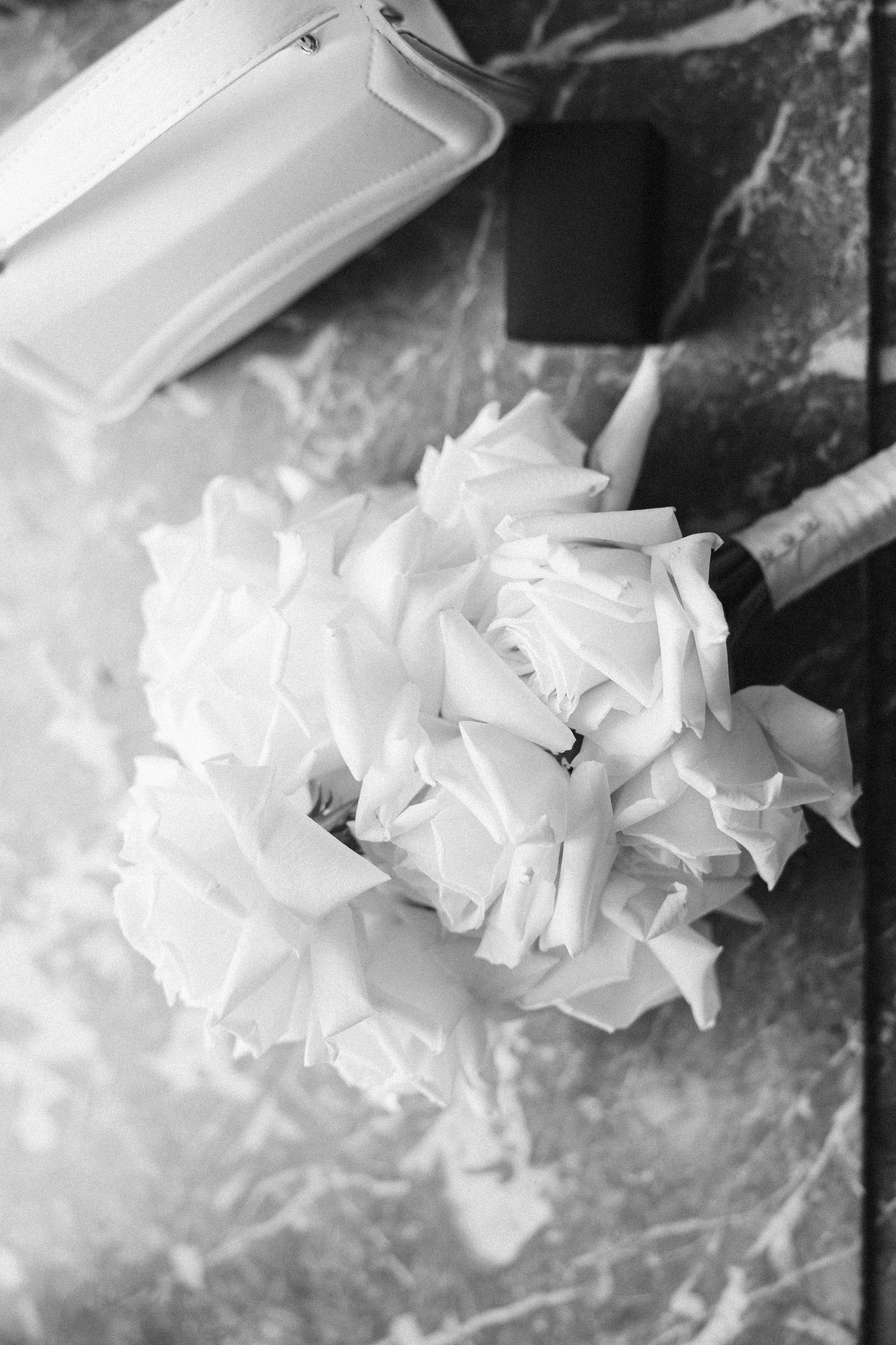 Gabrielė ir Edgaras