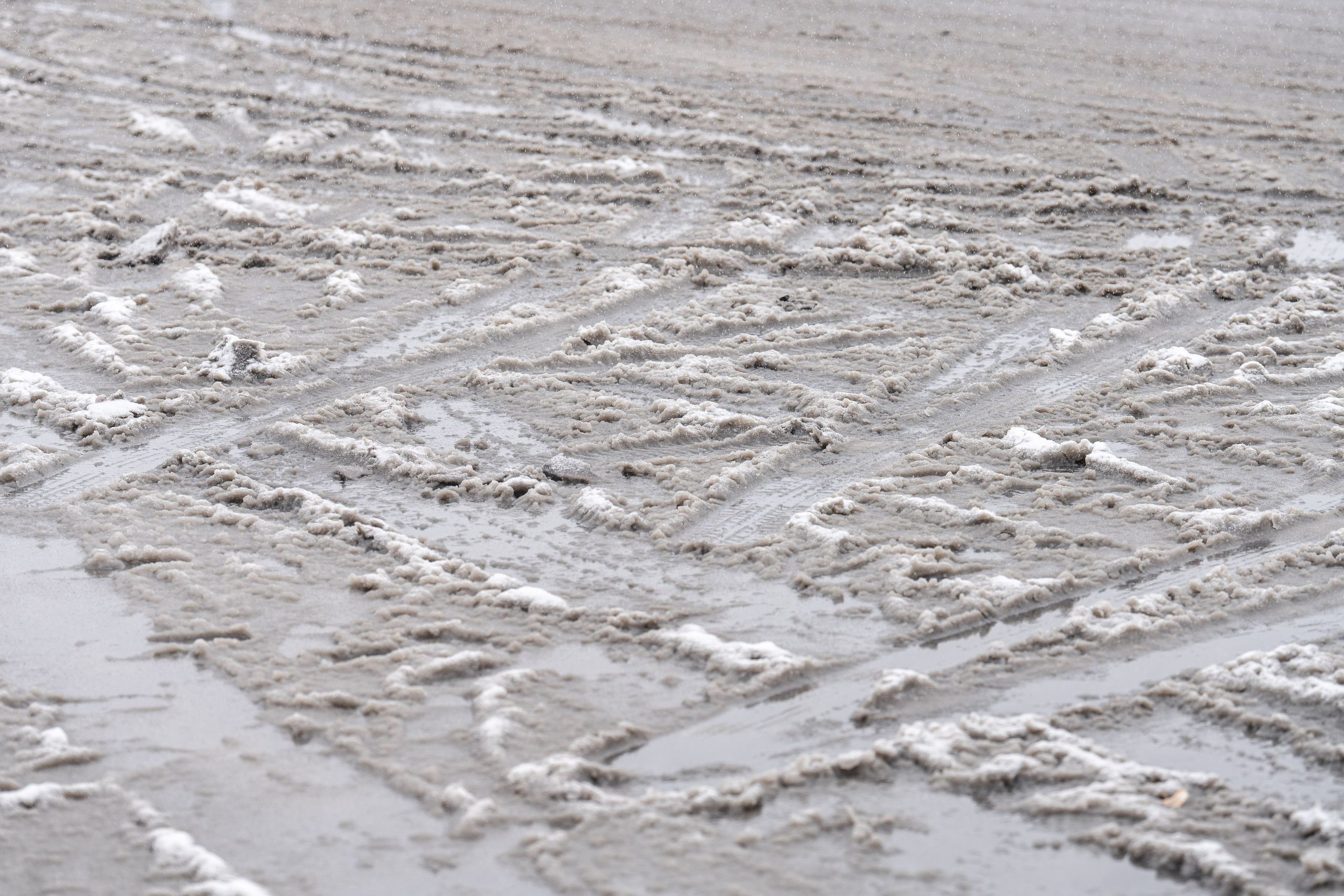 Снег. Георгий Намазов | Фотограф в Ташкенте