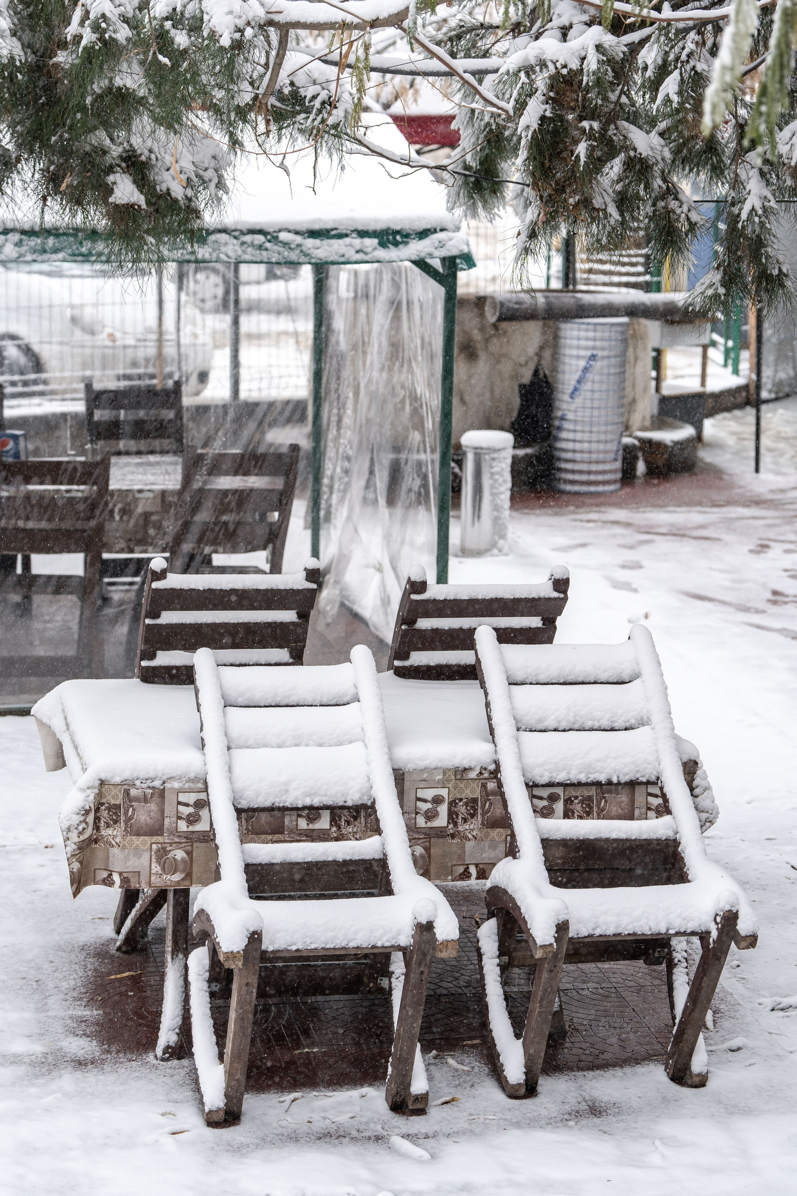 Снег. Георгий Намазов | Фотограф в Ташкенте