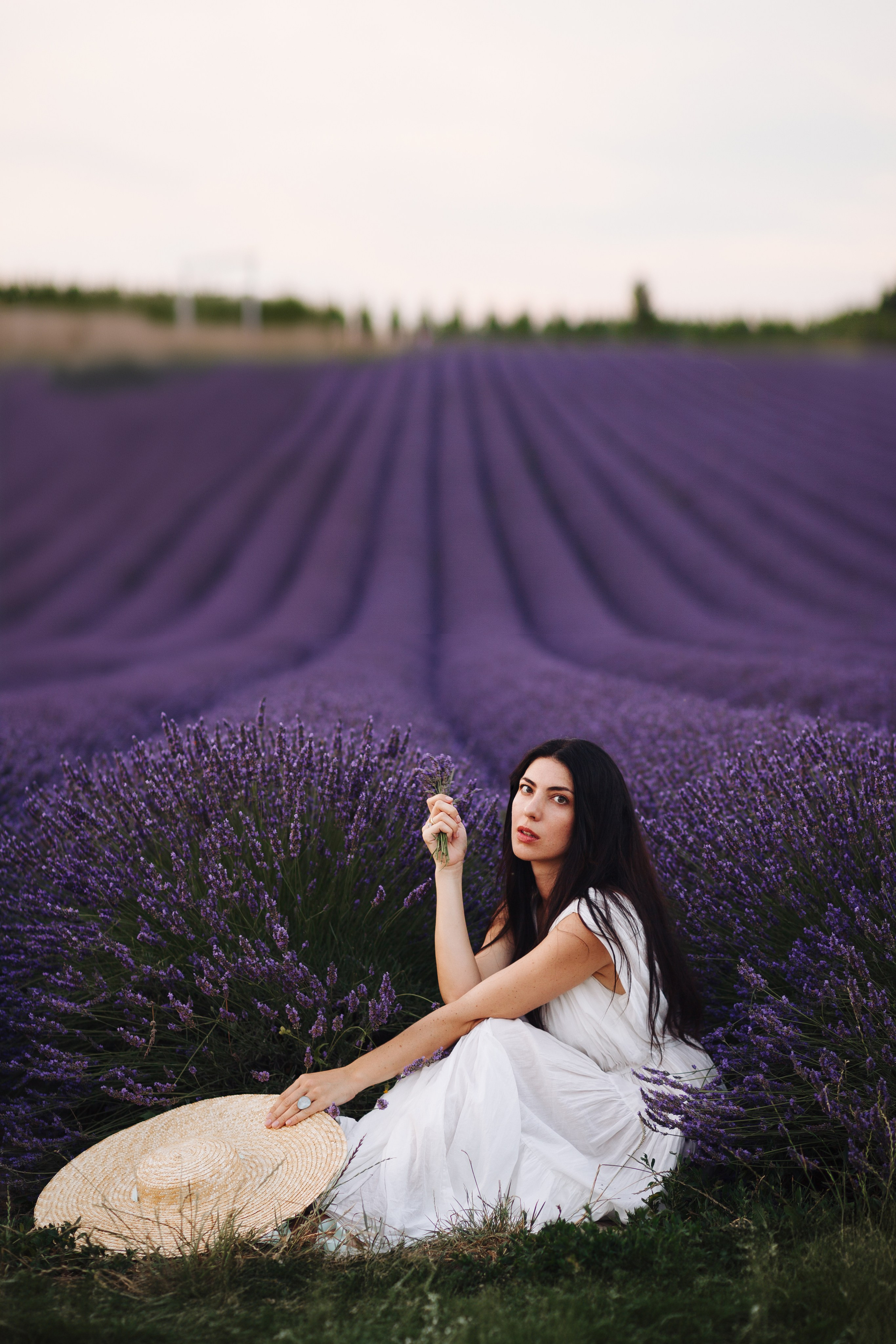 Lavender. Photographer in Prague for tourists
