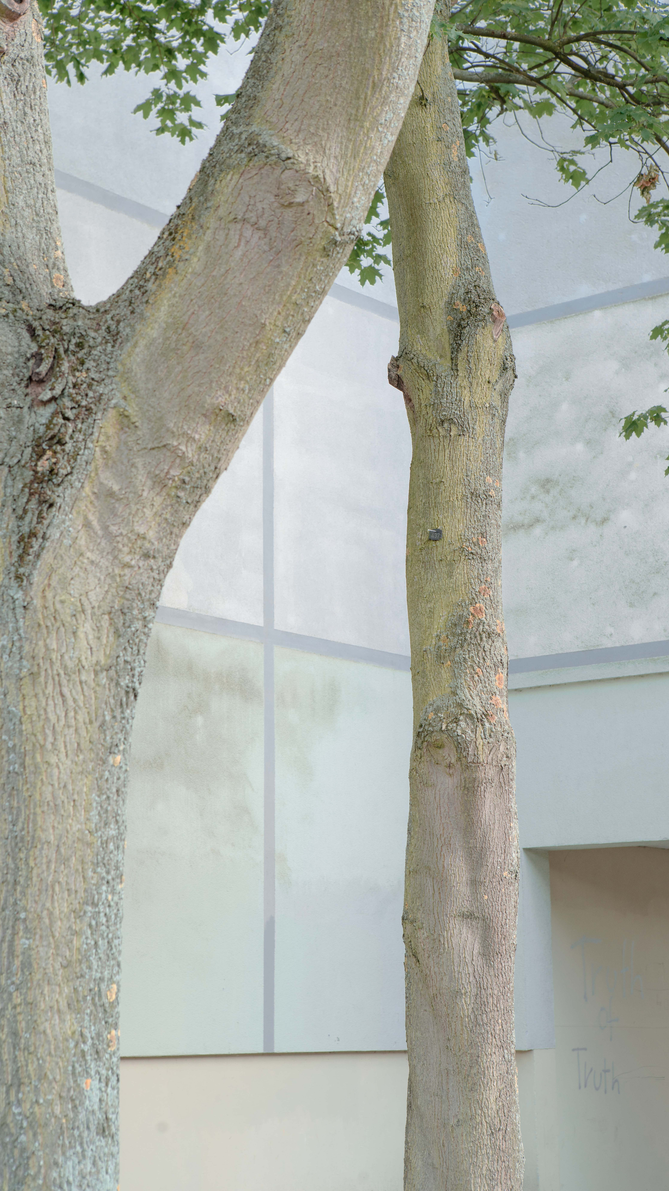 Street. Maria Bogachek Photography