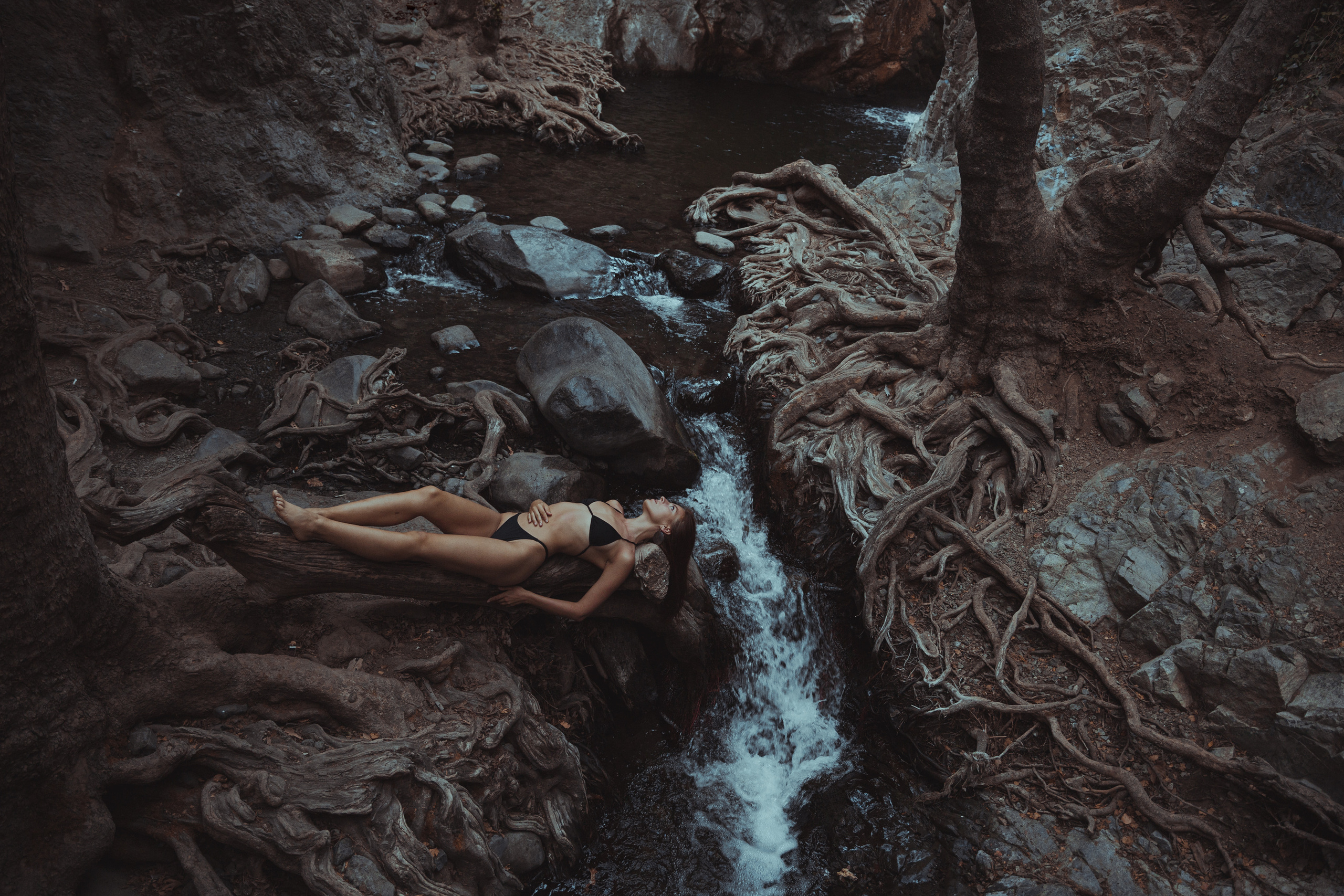 Roman Chernysh Photographer