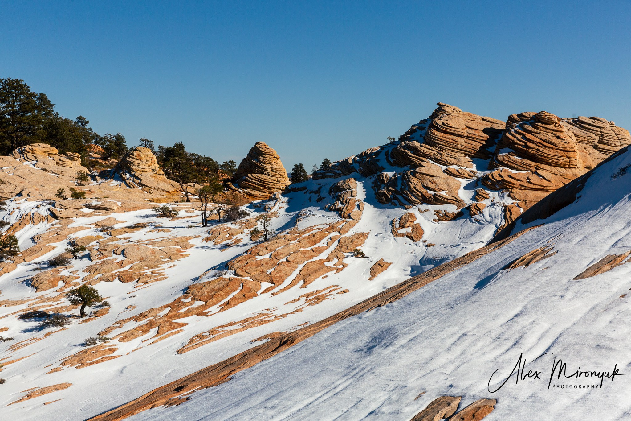 New Year In Utah. Pet, Senior, Landscape, portrait studio, photographer in Miami and Sou