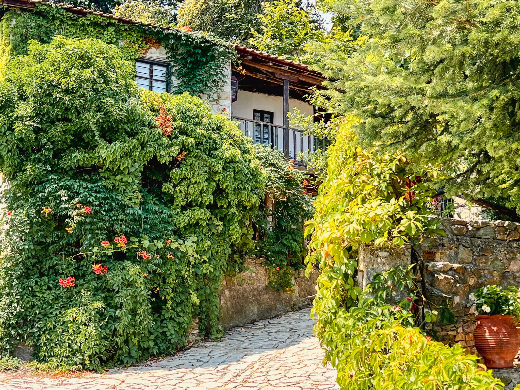 Fotografie urbana. Daniel Criste Fotograf