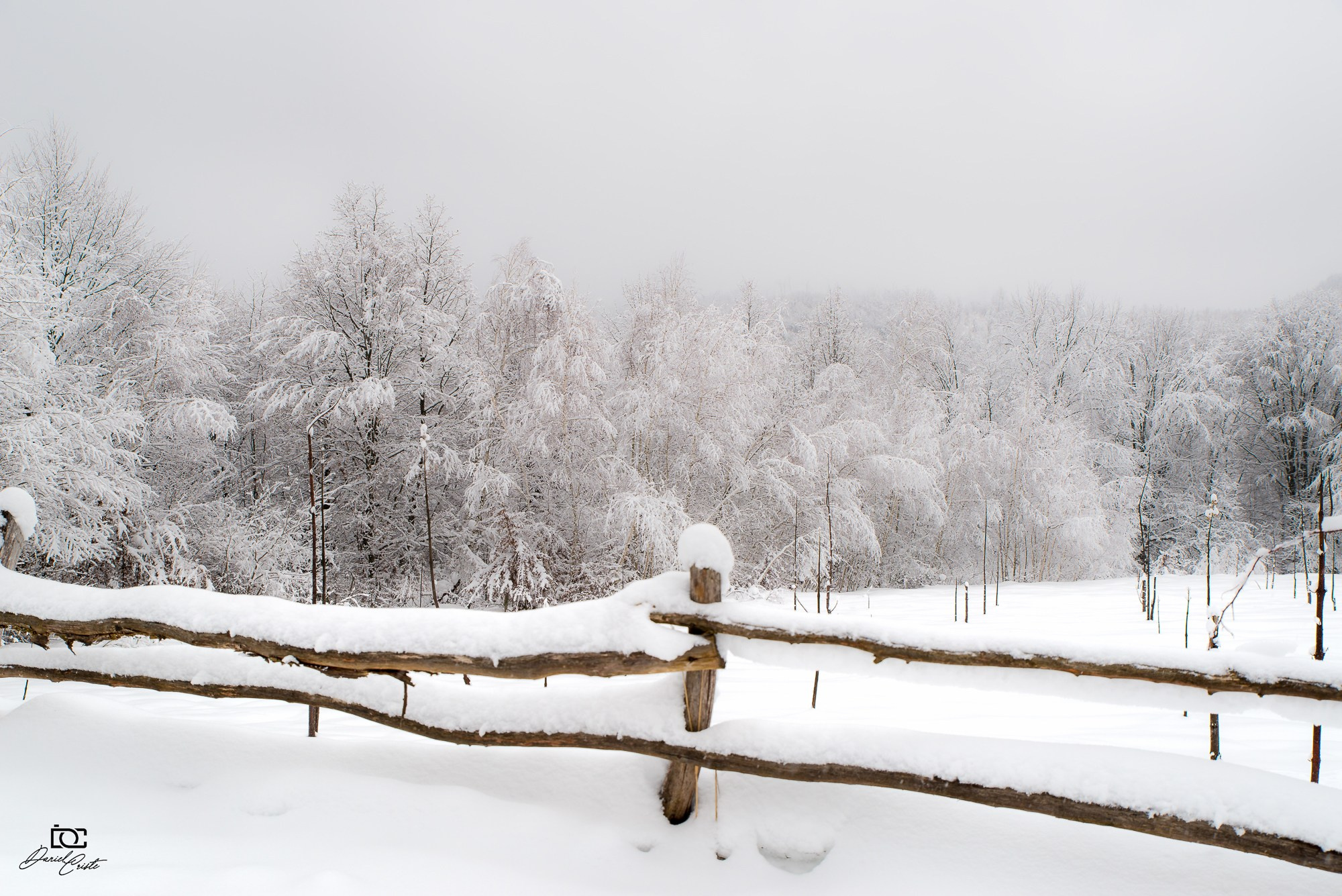 Peisaj /natura. Daniel Criste Fotograf